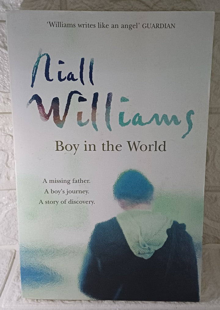 Front Cover Of Boy in the World (Niall Williams)