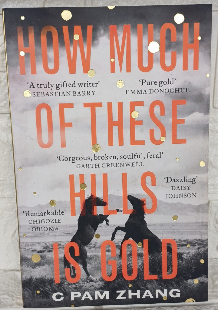 Front Cover Of How Much of These Hills Is Gold (C Pam Zhang)