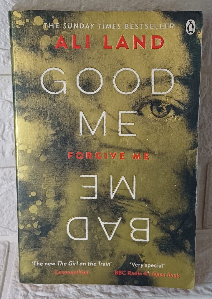 Front Cover Of Good Me Bad Me (Ali Land)