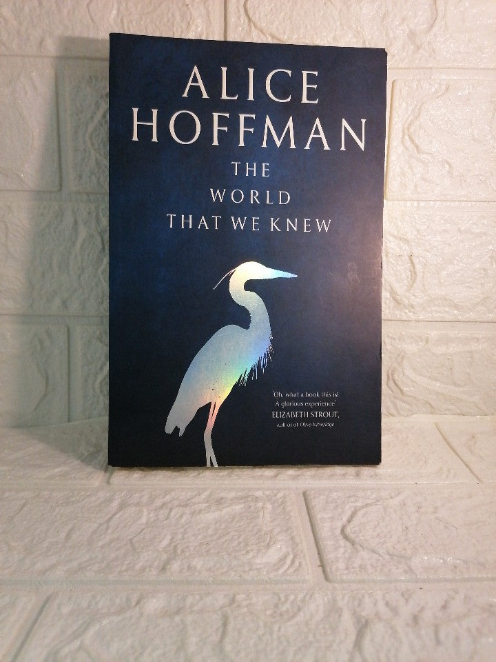 Front Cover Of The World That We Knew (Alice Hoffman )