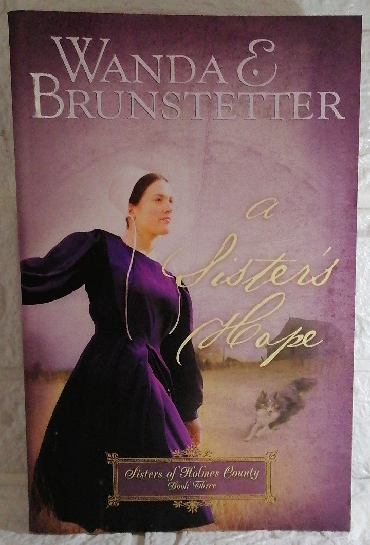 Front Cover Of A Sister's Hope (Sisters of Holmes County, #3) (Wanda E. Brunstetter)