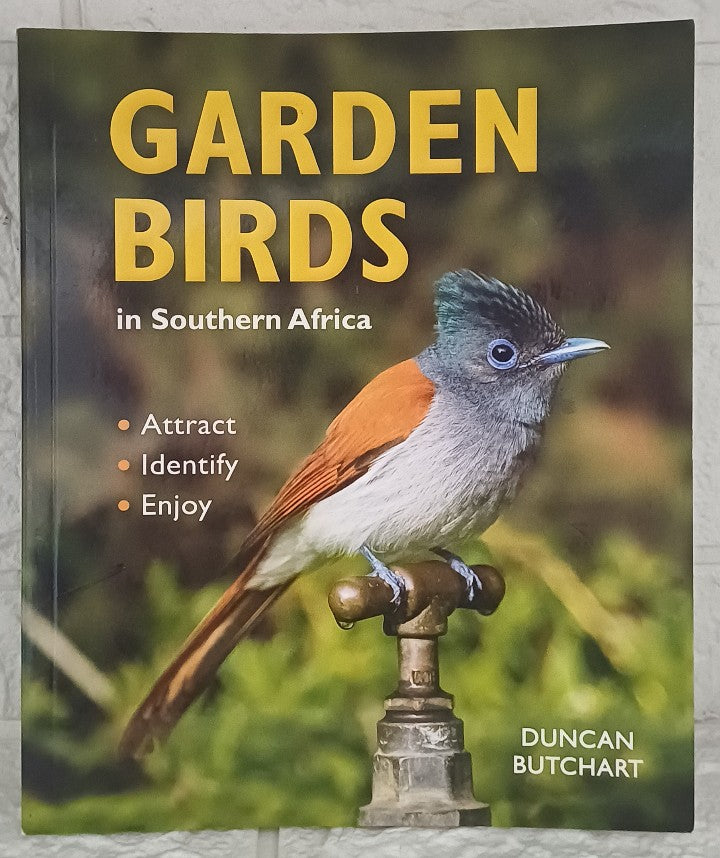 Garden Birds in Southern Africa (Duncan Butchart)