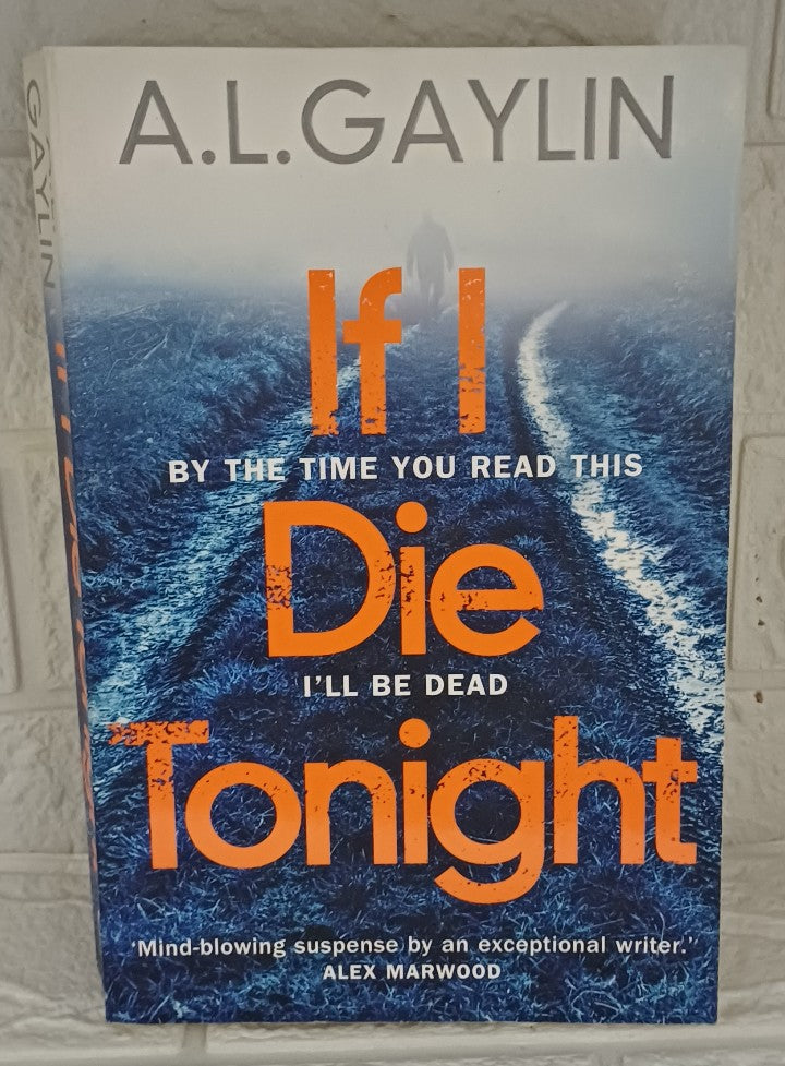 Front Cover Of If I Die Tonight (A.L. Gaylin; Alison Gaylin)