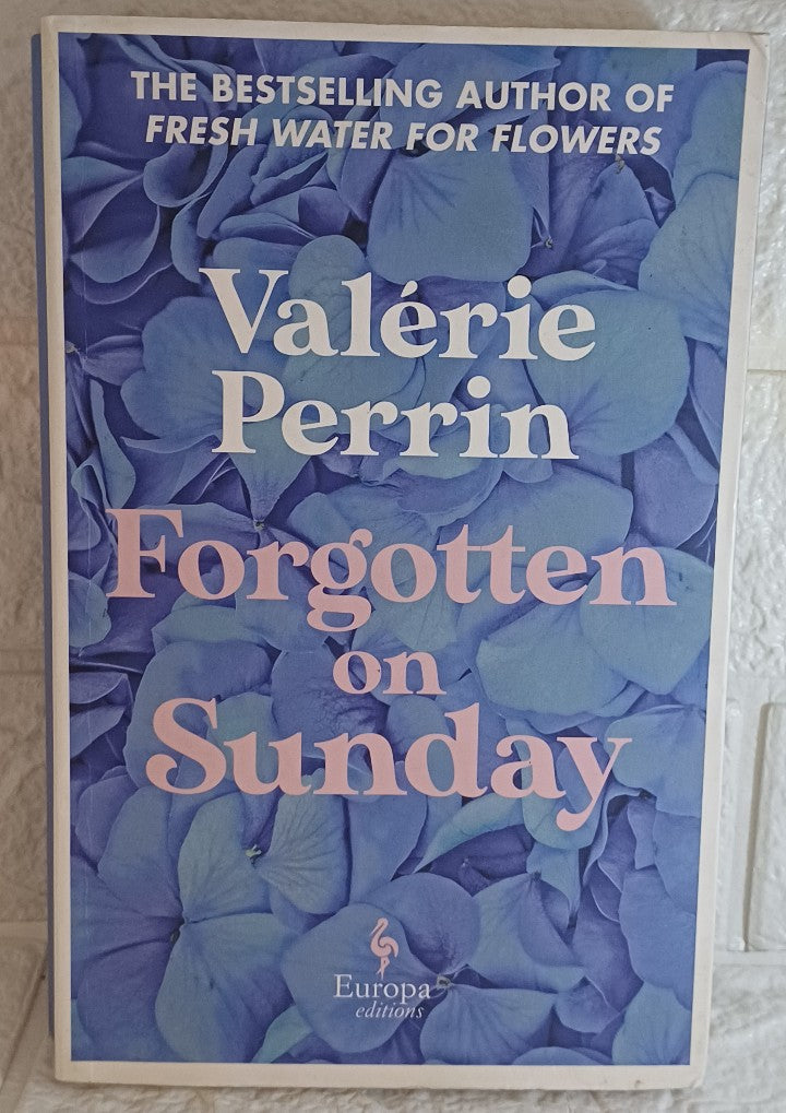 Front Cover Of Forgotten on Sunday (Hildegarde Perrin)