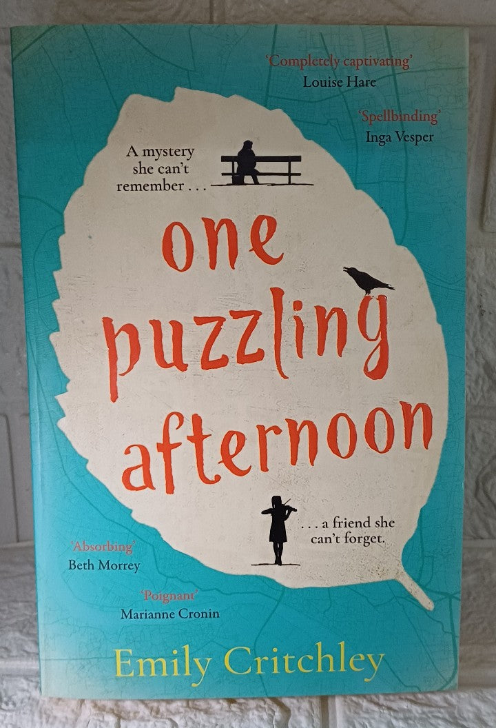 Front Cover Of One Puzzling Afternoon (Emily Critchley)