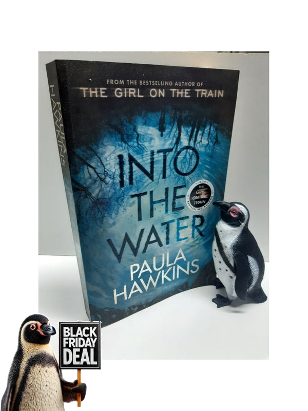 Front Cover Of The Best-Selling Book Into The Water Hawkins, Paula