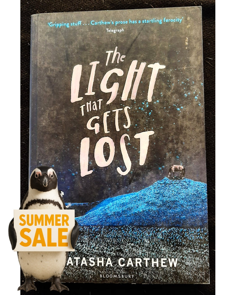 Front Cover Of The Light that Gets Lost (Natasha Carthew)