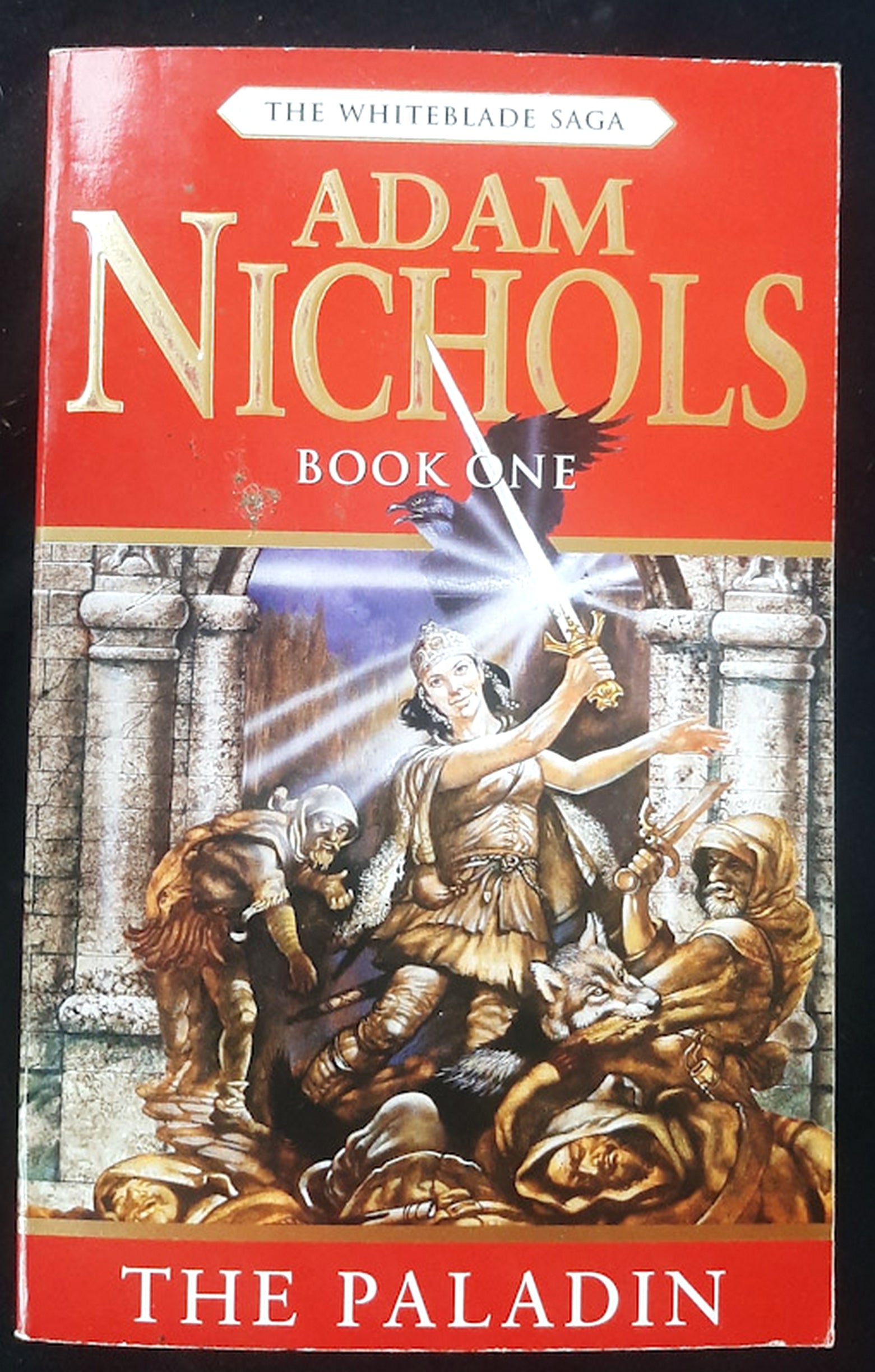 Front Cover Of The Paladin (The Whiteblade Saga #1) (Adam Nichols)