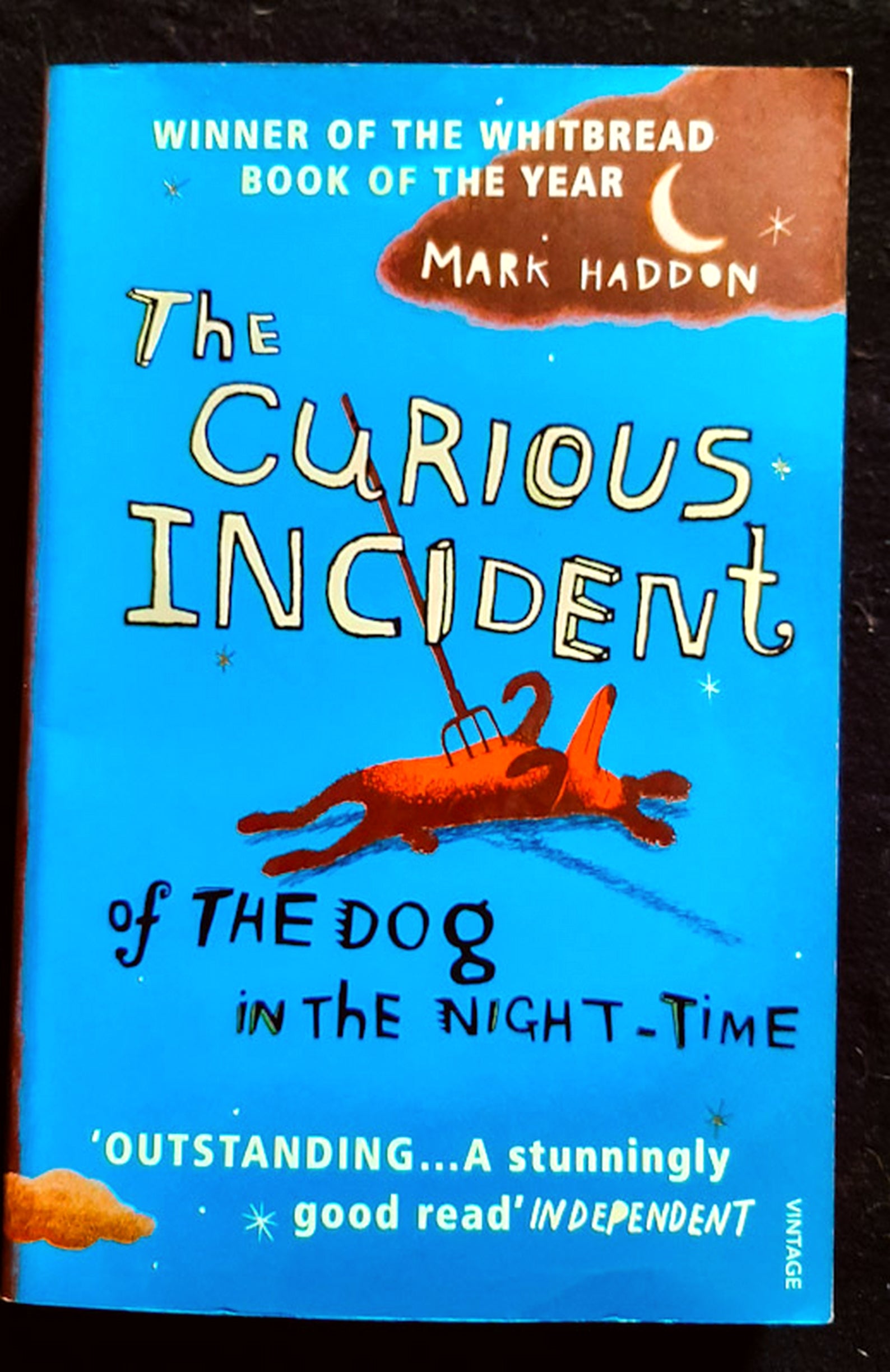 Front Cover Of The Curious Incident of the Dog in the Night-Time (Mark Haddon)