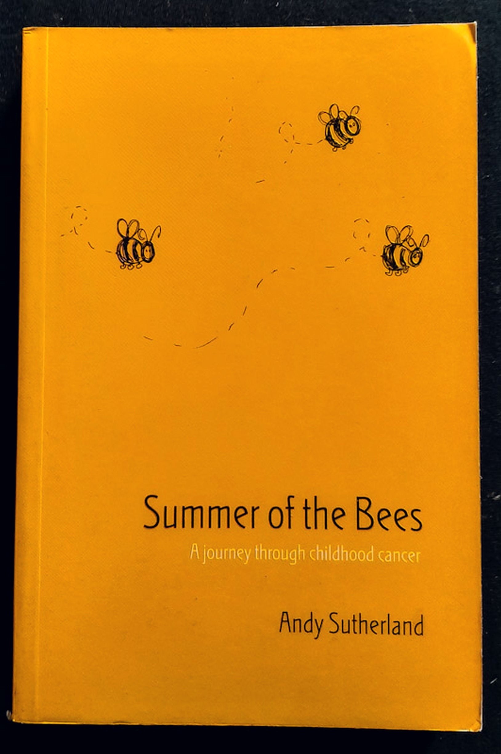 Front Cover Of The summer of the bees (Andy Sutherland)