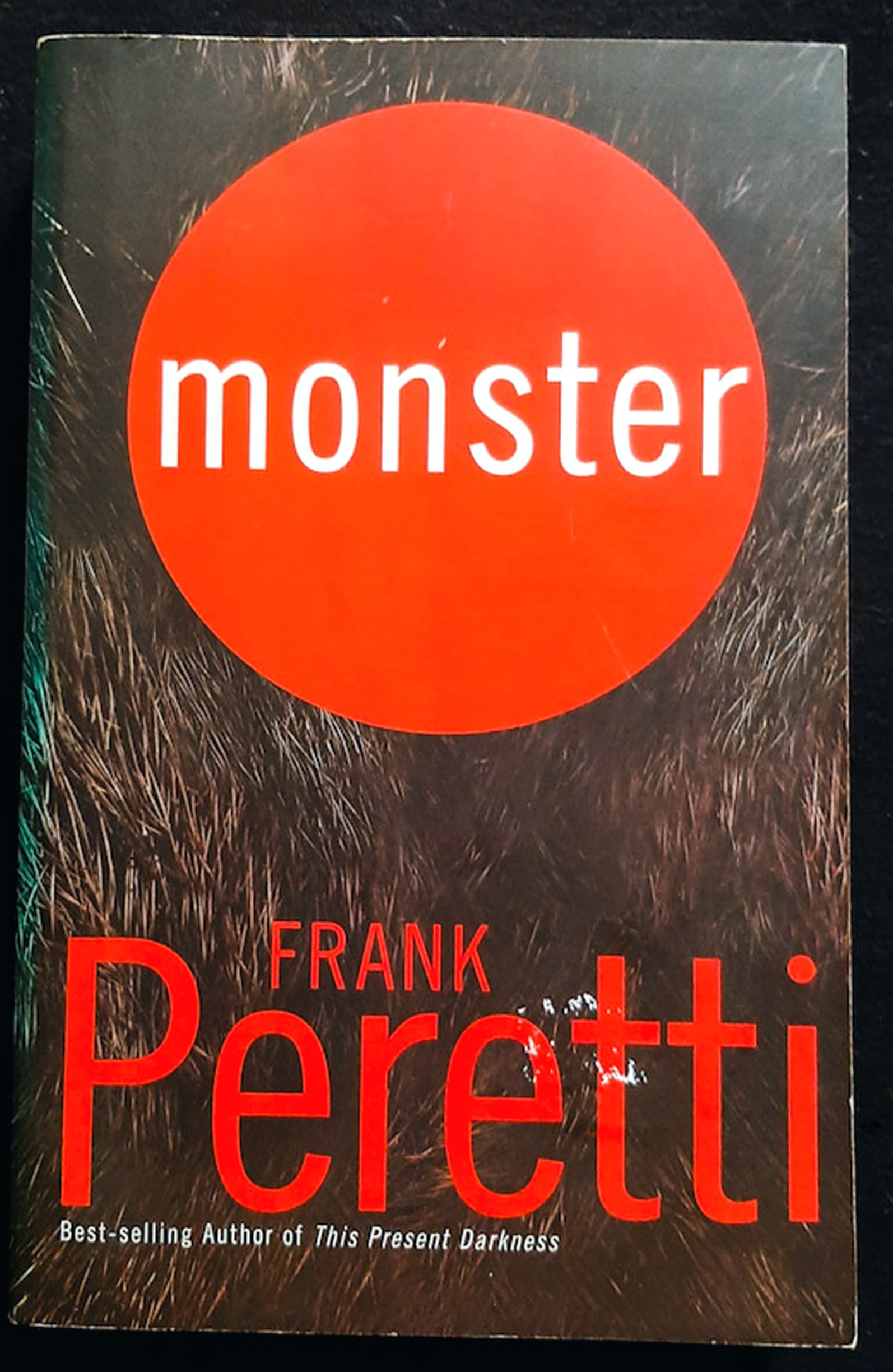 Front Cover Of Monster (Frank Peretti)