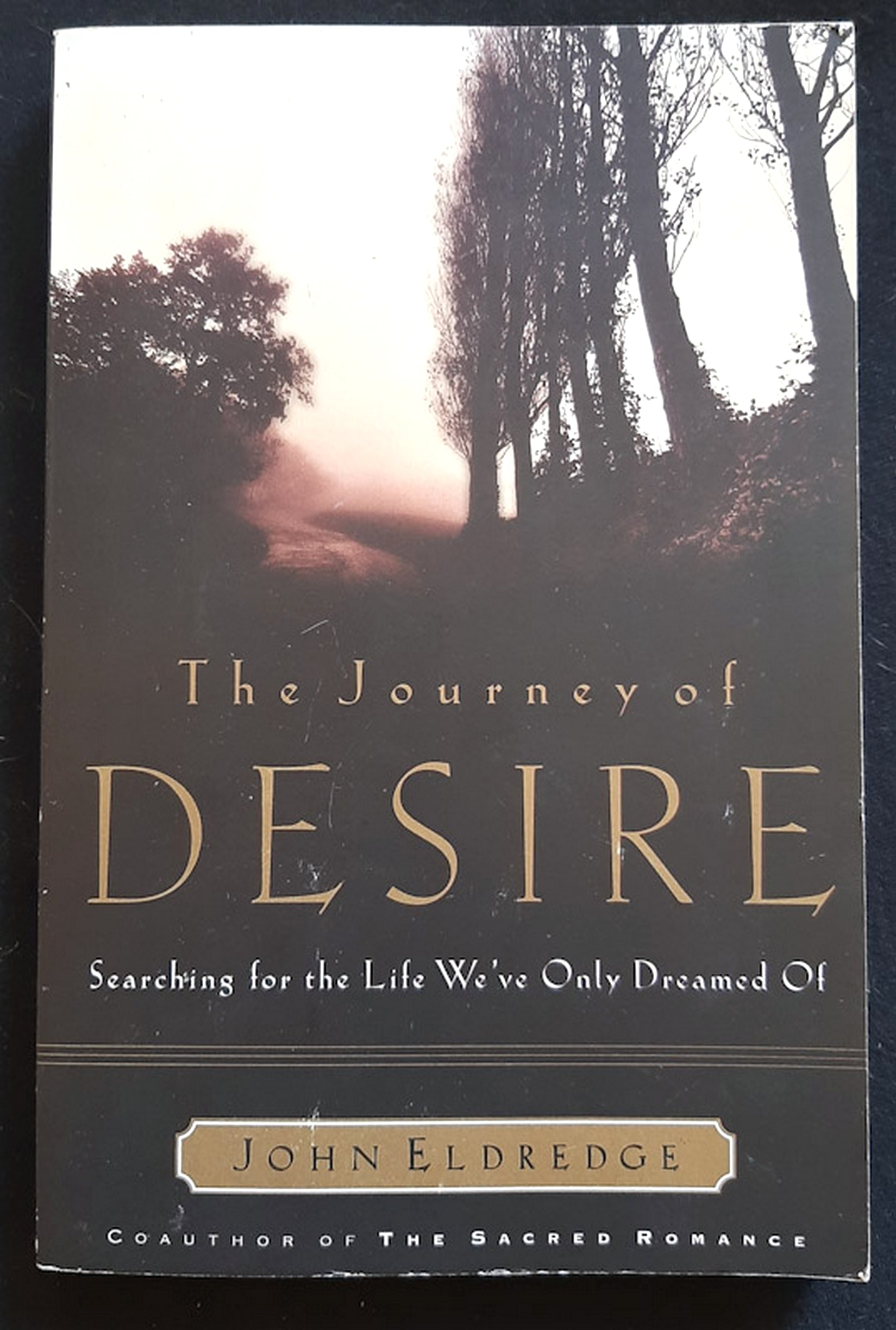 Front Cover Of The Journey of Desire: Searching for the Life We've Only Dreamed of (JOHN ELDREDGE)