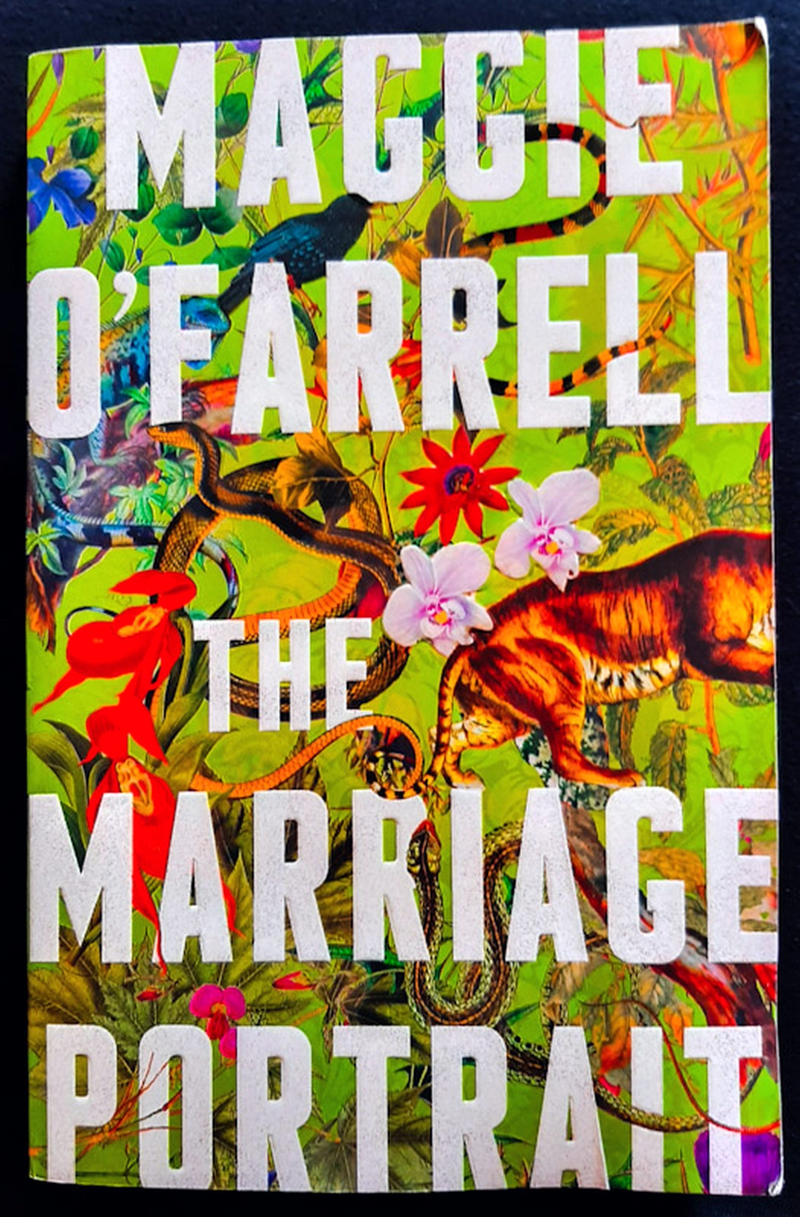 Front Cover Of The Marriage Portrait (Maggie O'Farrell)