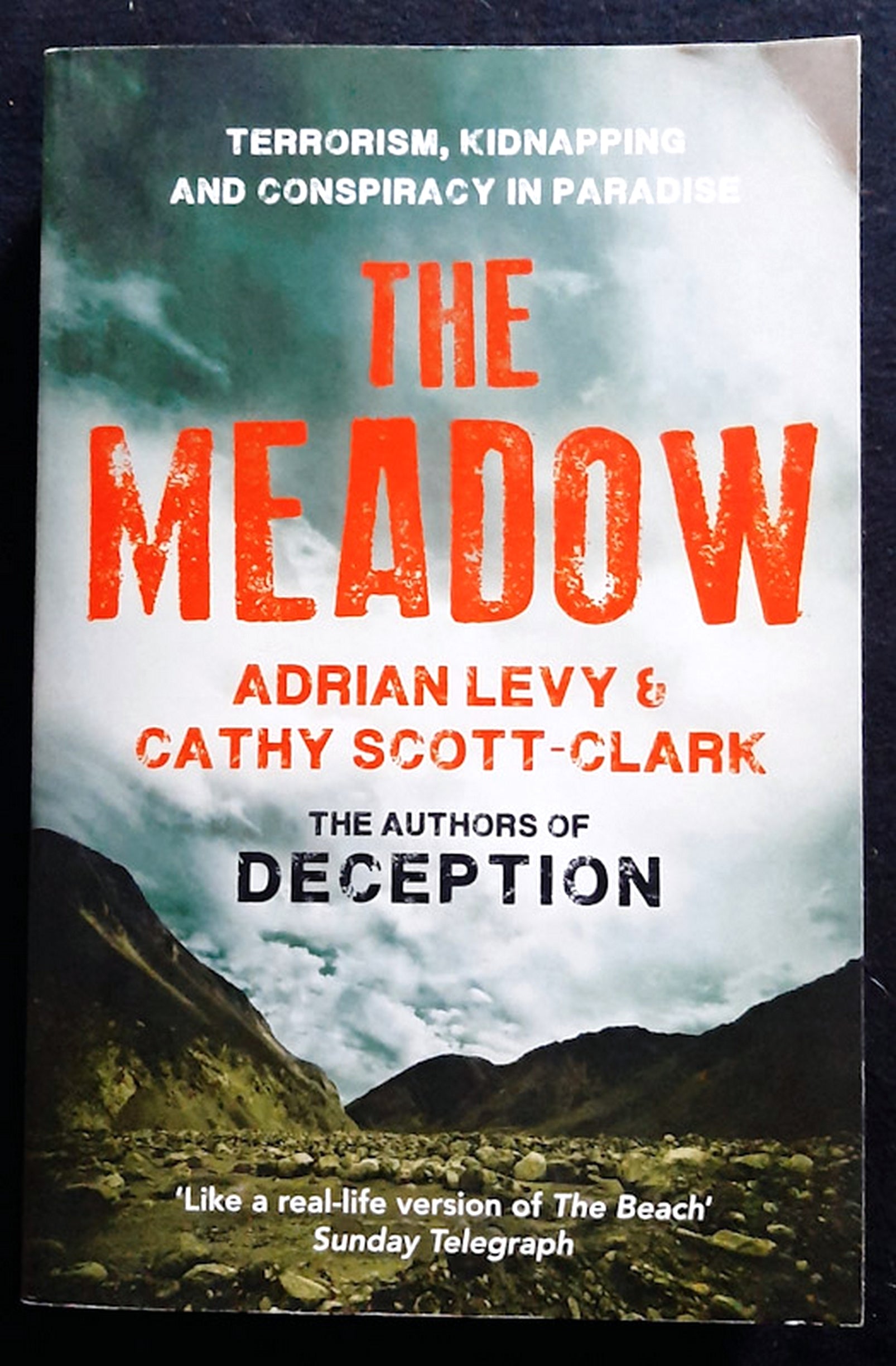 Front Cover Of The Meadow (Andrew Levy)