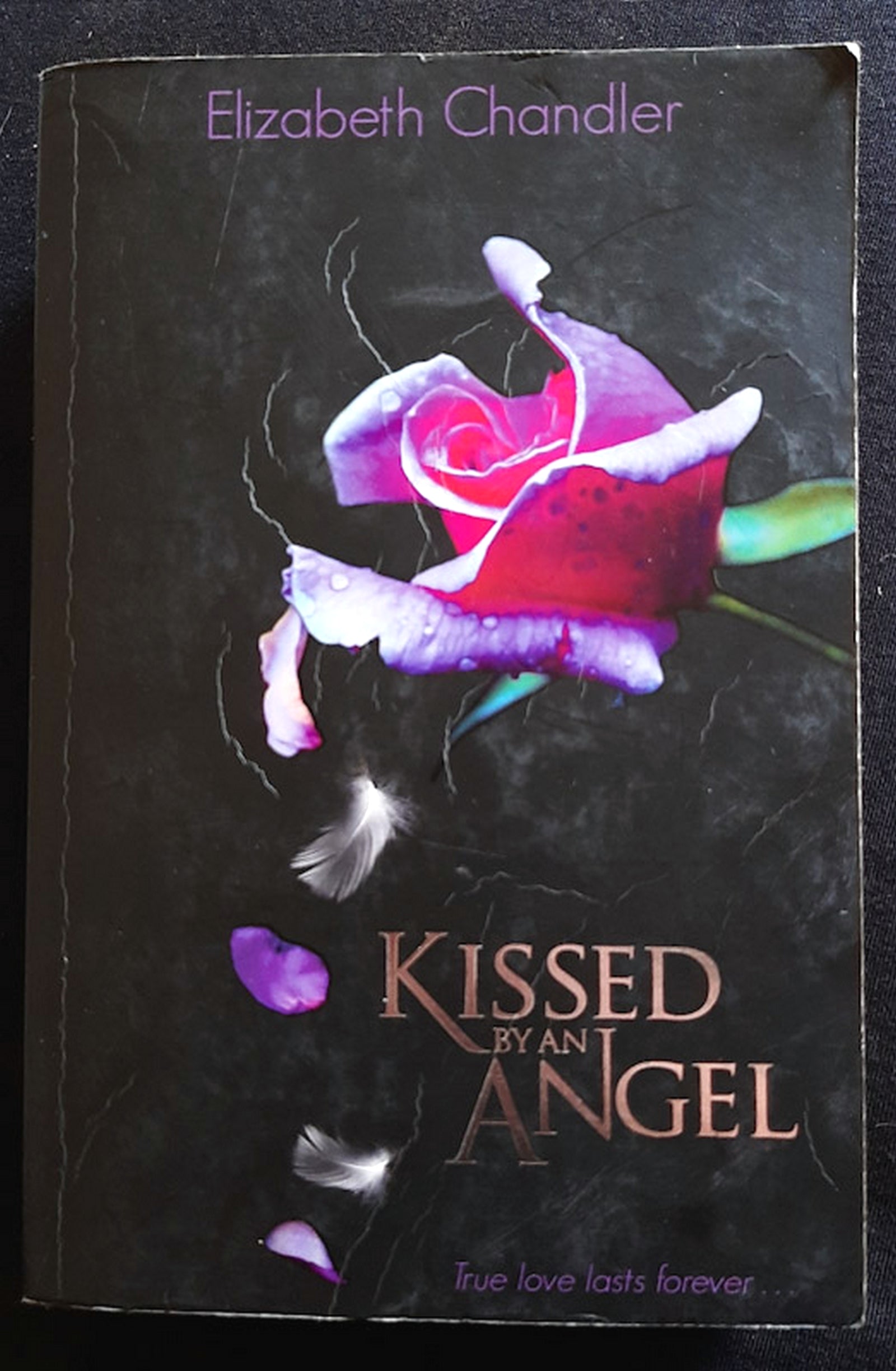 Front Cover Of Kissed by an Angel (Kissed by an Angel #1) (ELIZABETH CHANDLER)