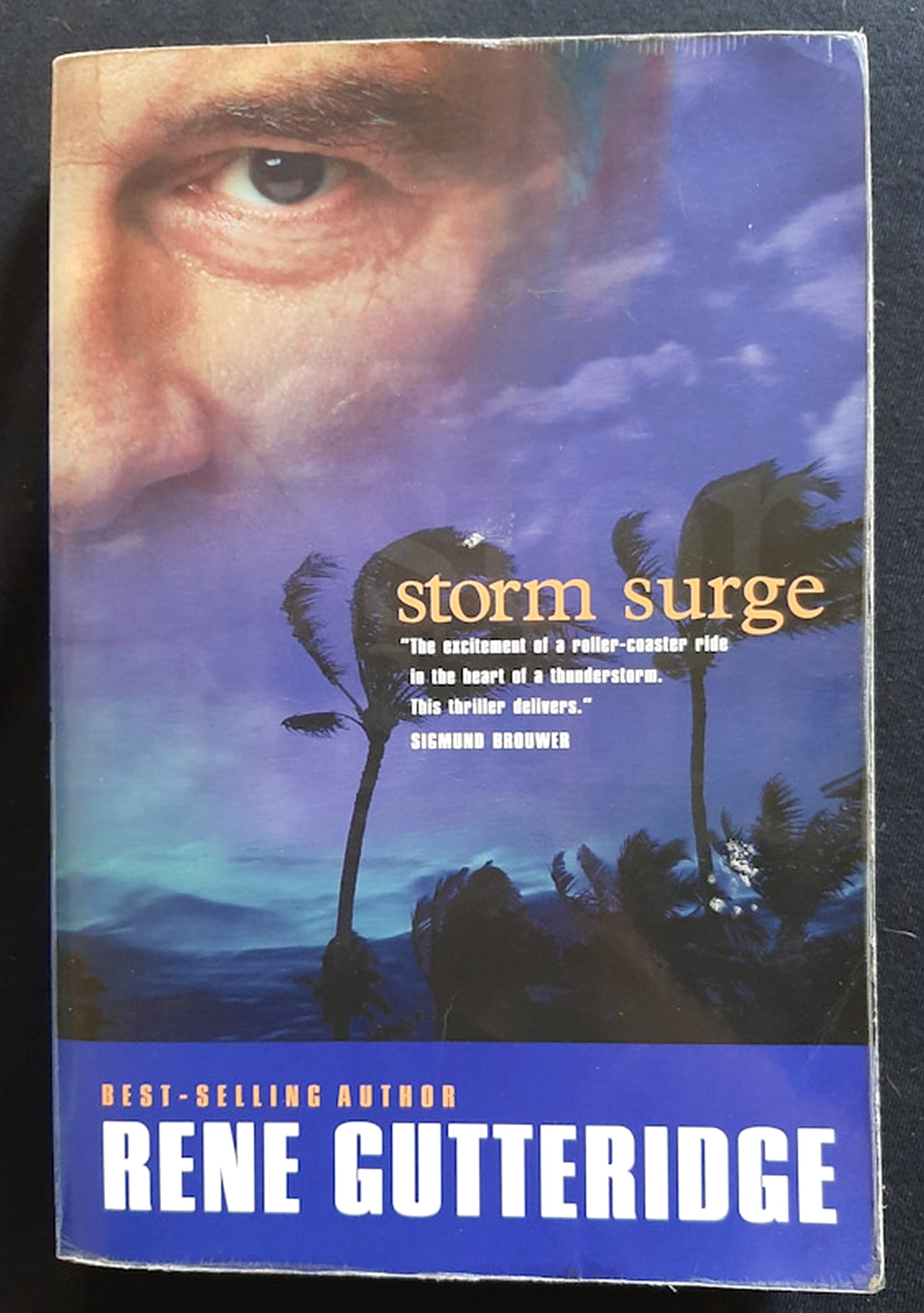 Front Cover Of Storm Surge (Storm #3) (Rene Gutteridge)