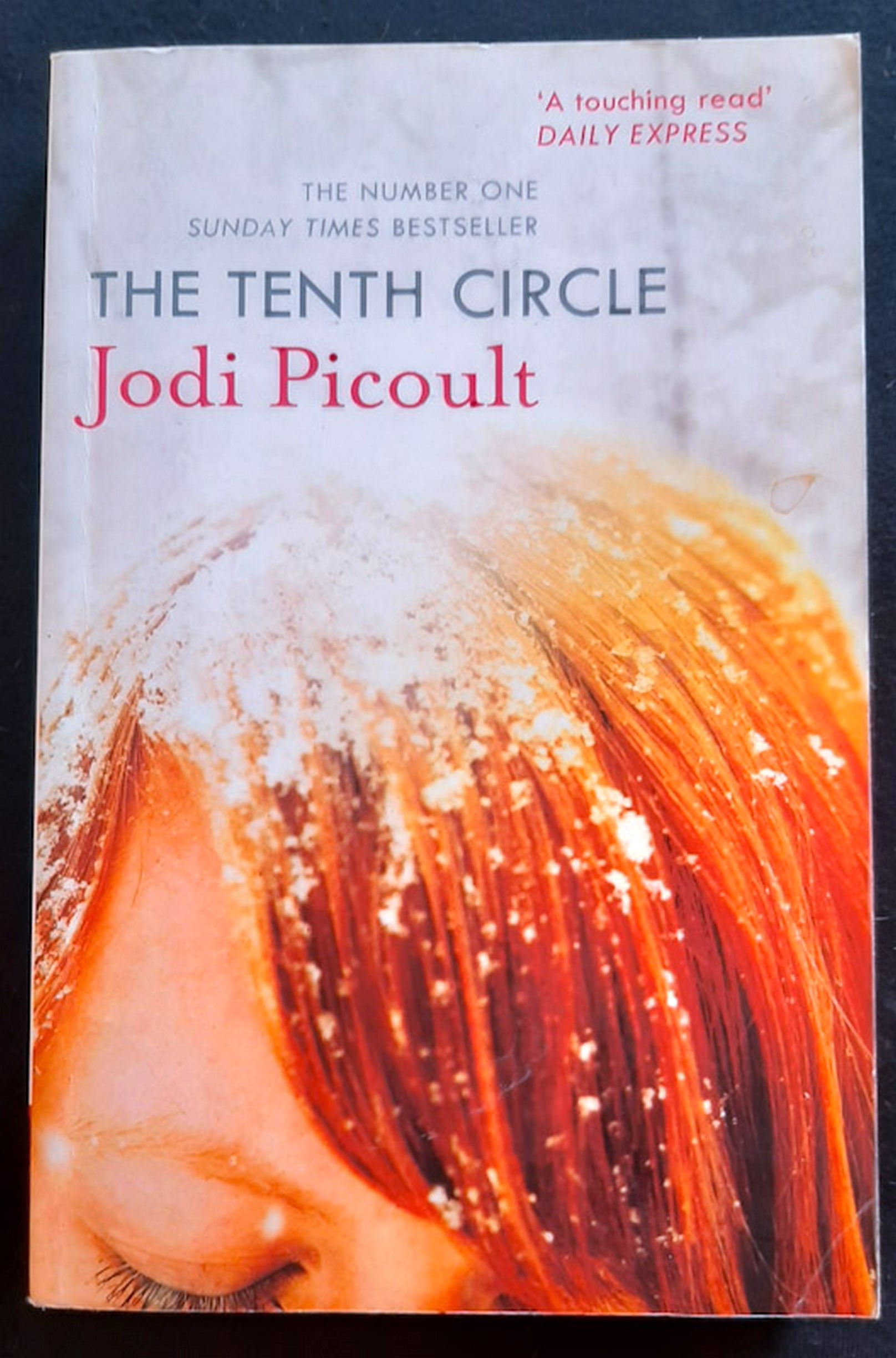 Front Cover Of The Tenth Circle (Jodi Picoult)