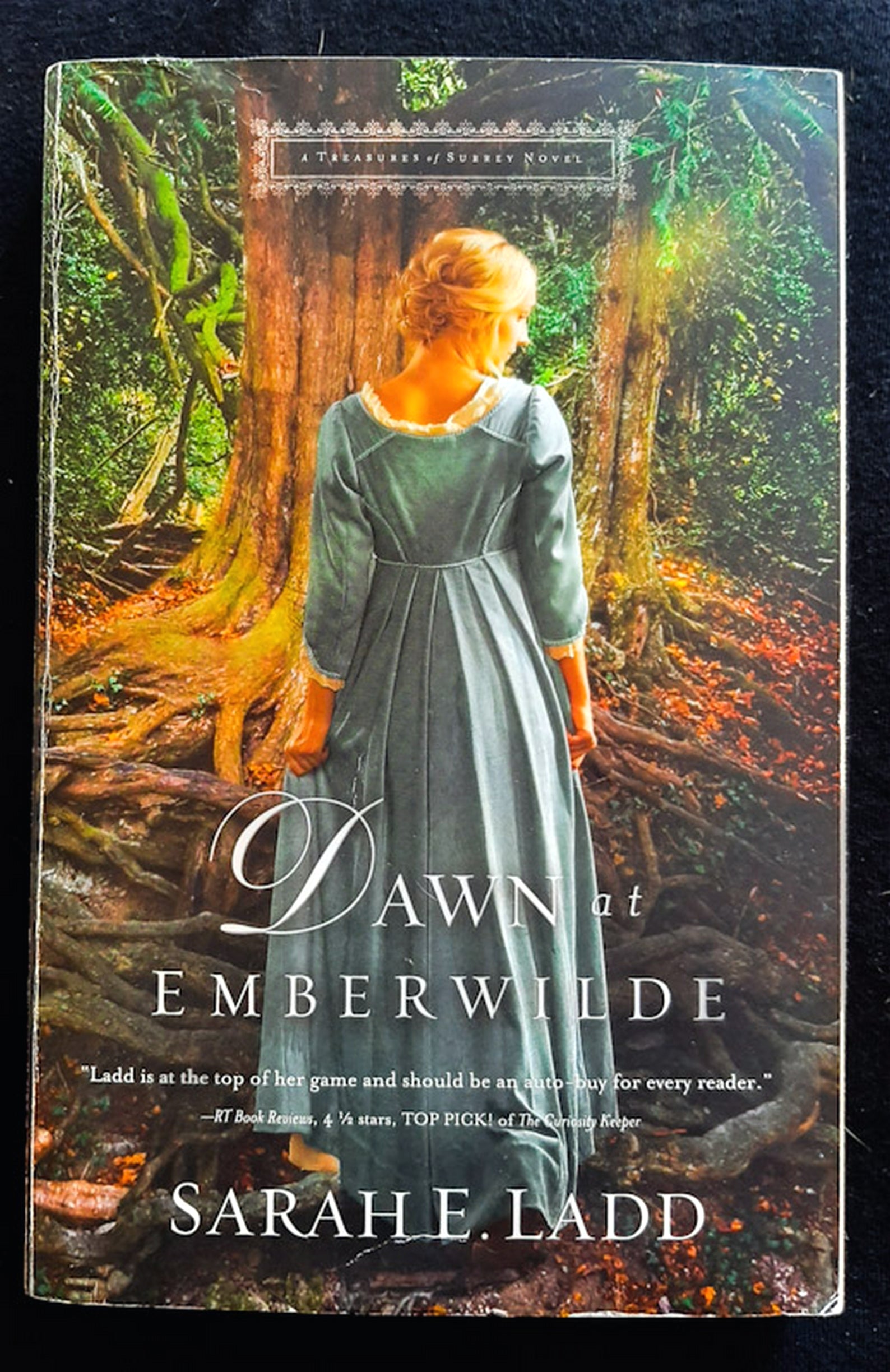 Front Cover Of Dawn at Emberwilde (Treasures of Surrey #2) (Sarah E. Ladd)