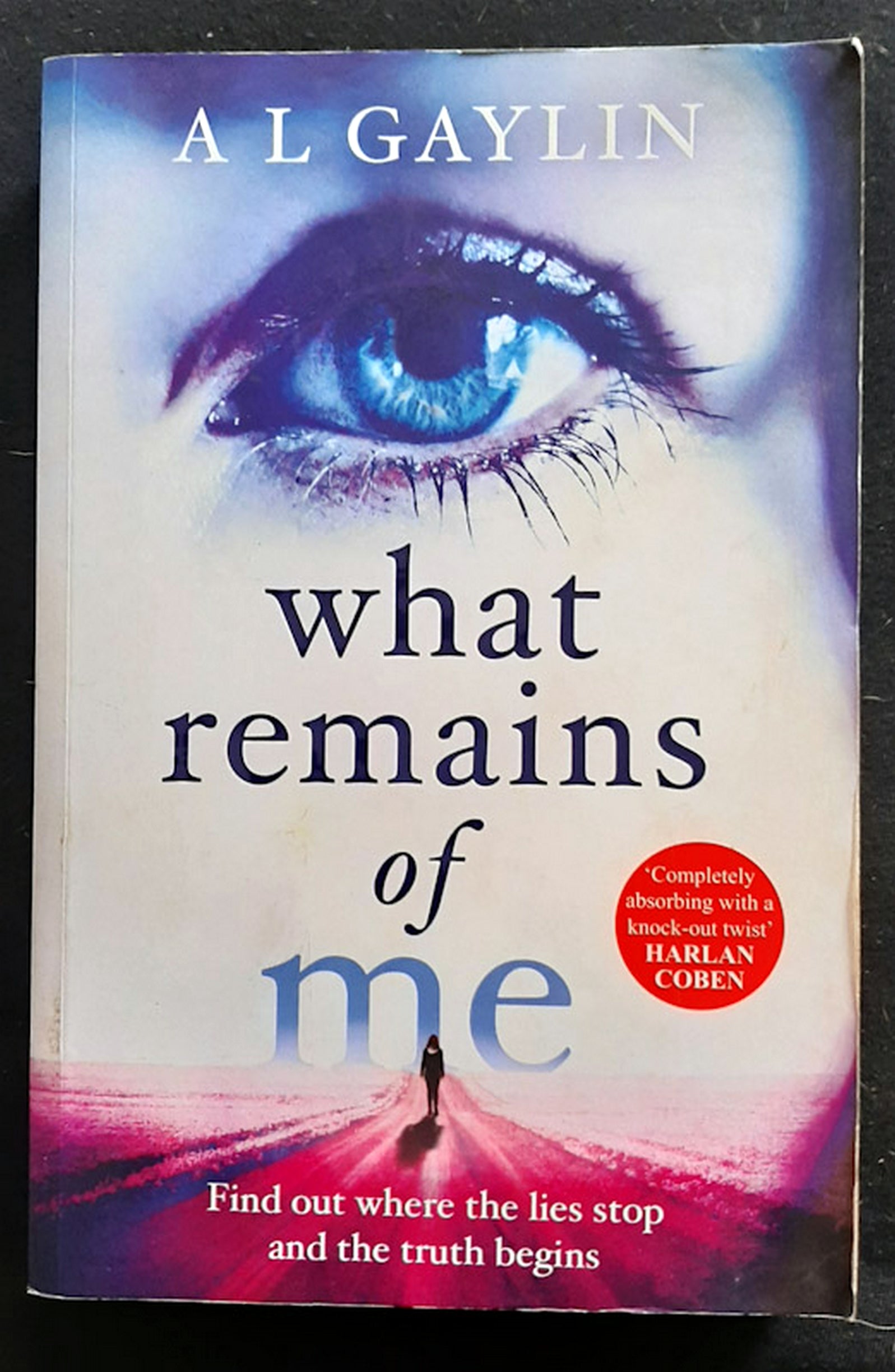 Front Cover Of What Remains of Me (A. L. Gaylin)