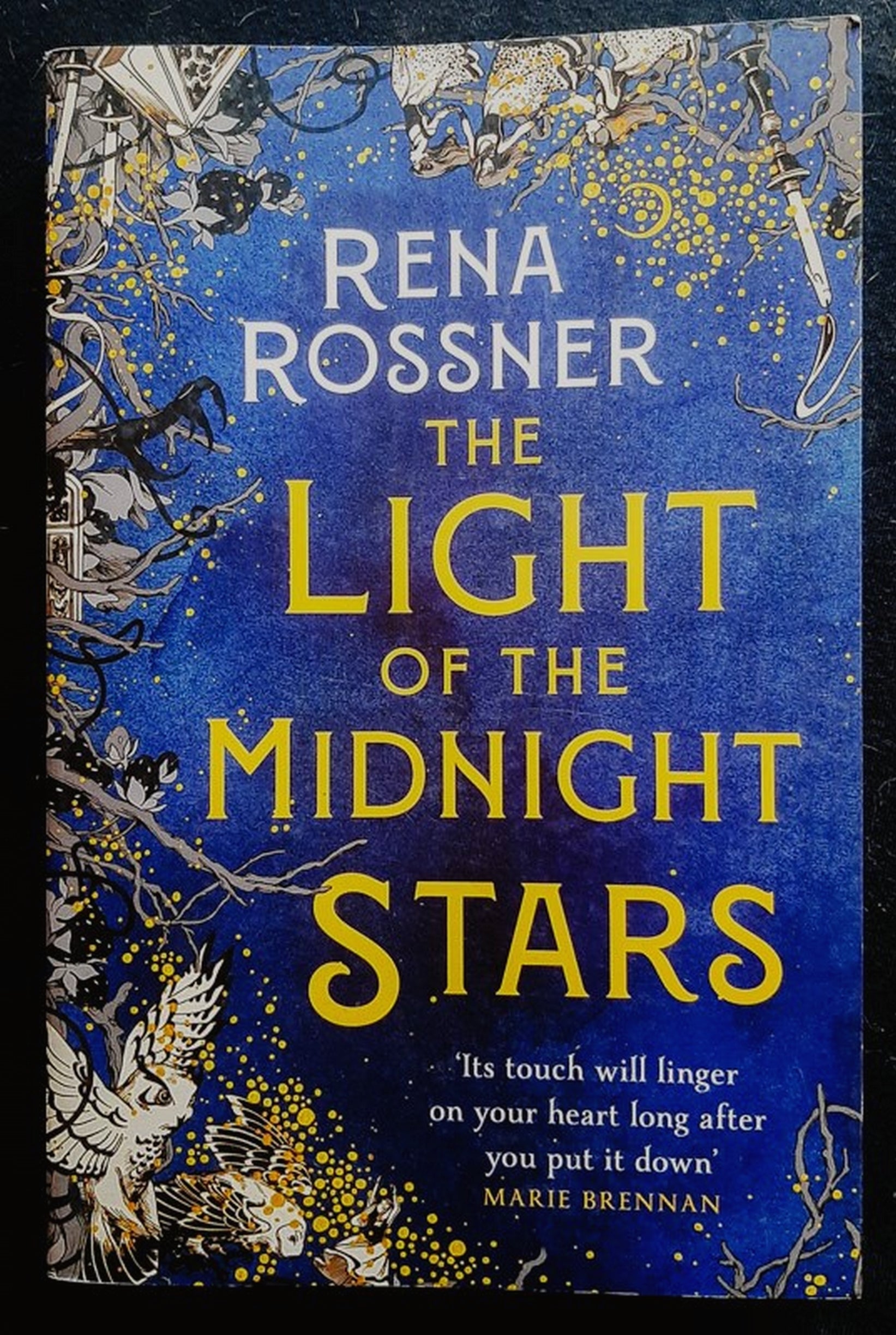 Front Cover Of The Light of the Midnight Stars (Rena Rossner)