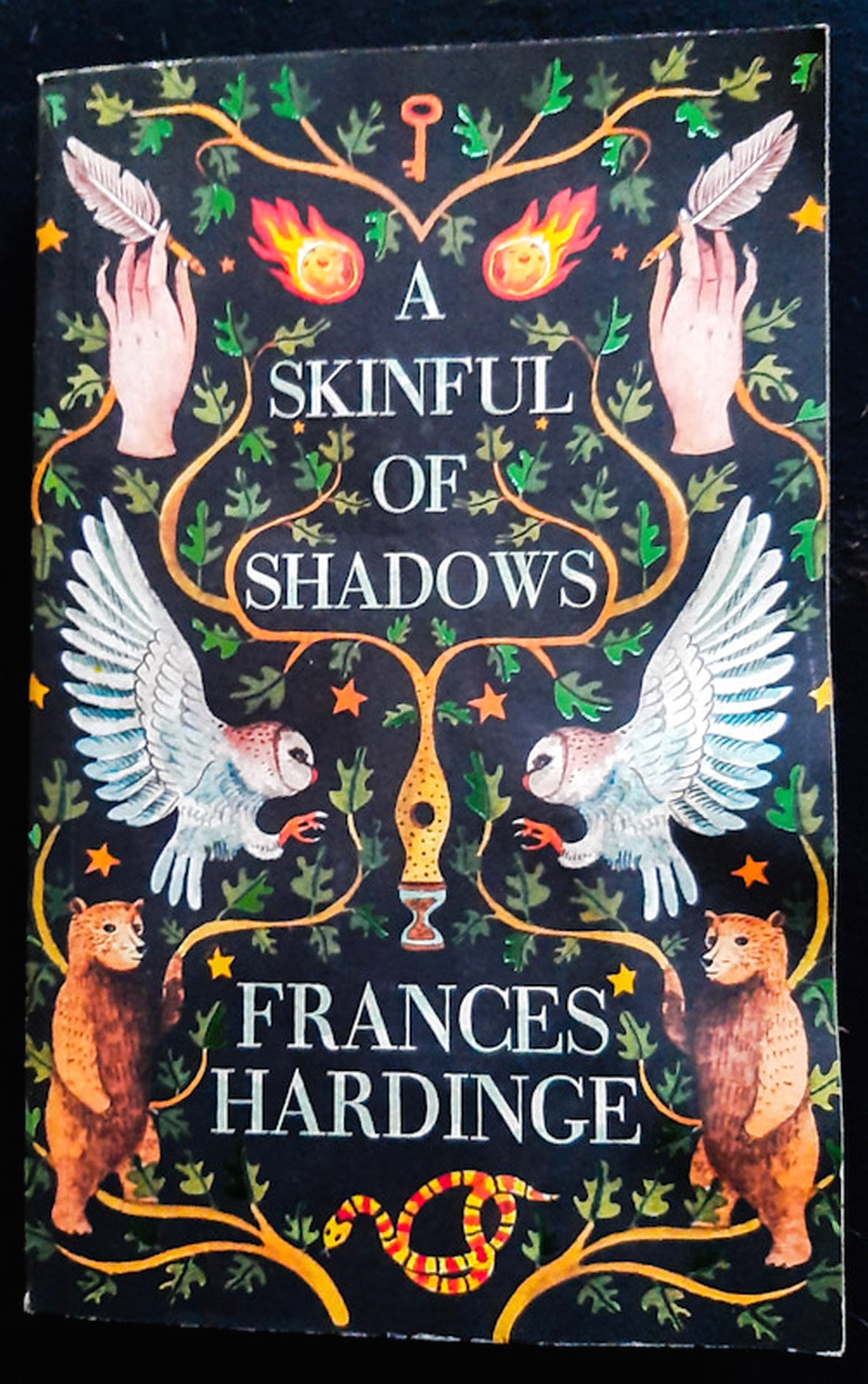 Front Cover Of A Skinful of Shadows (Frances Hardinge)