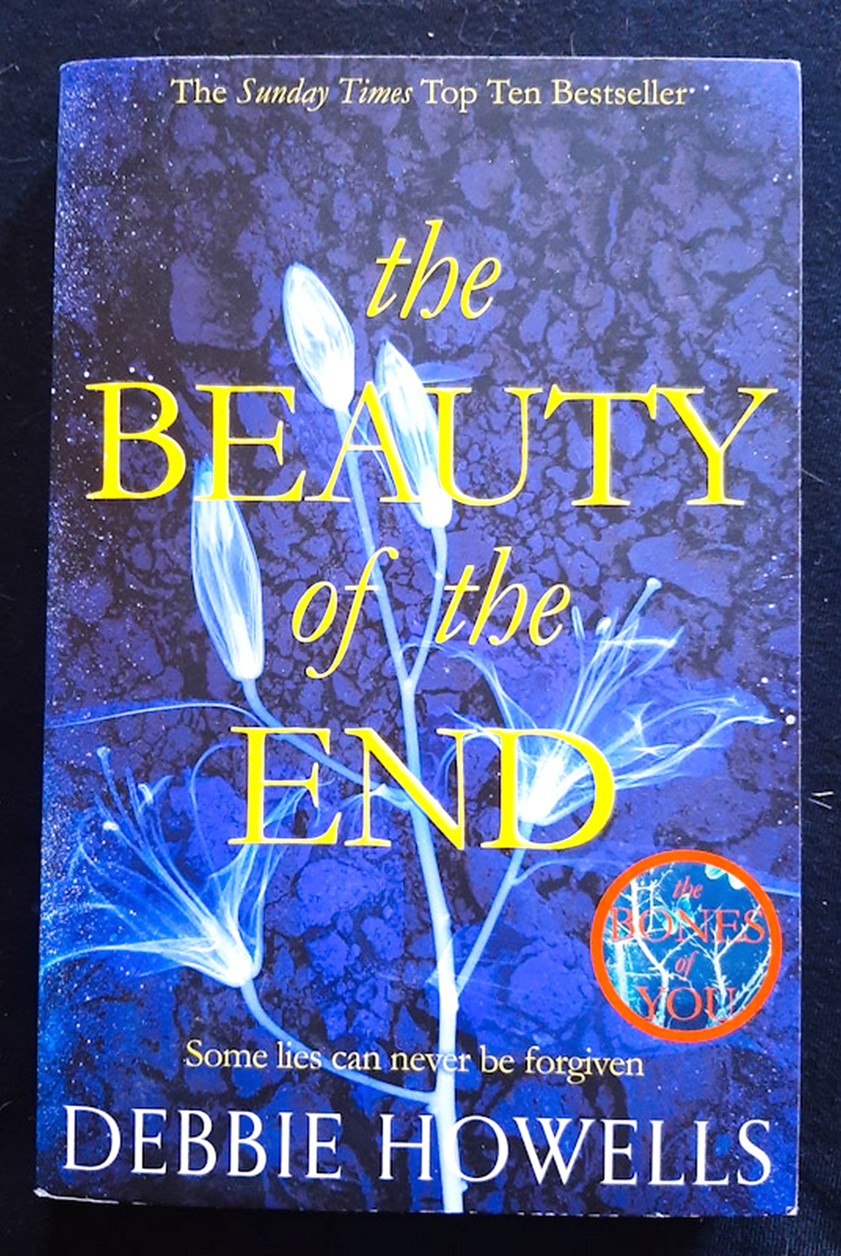 Front Cover Of The Beauty of the End (Debbie Howells)