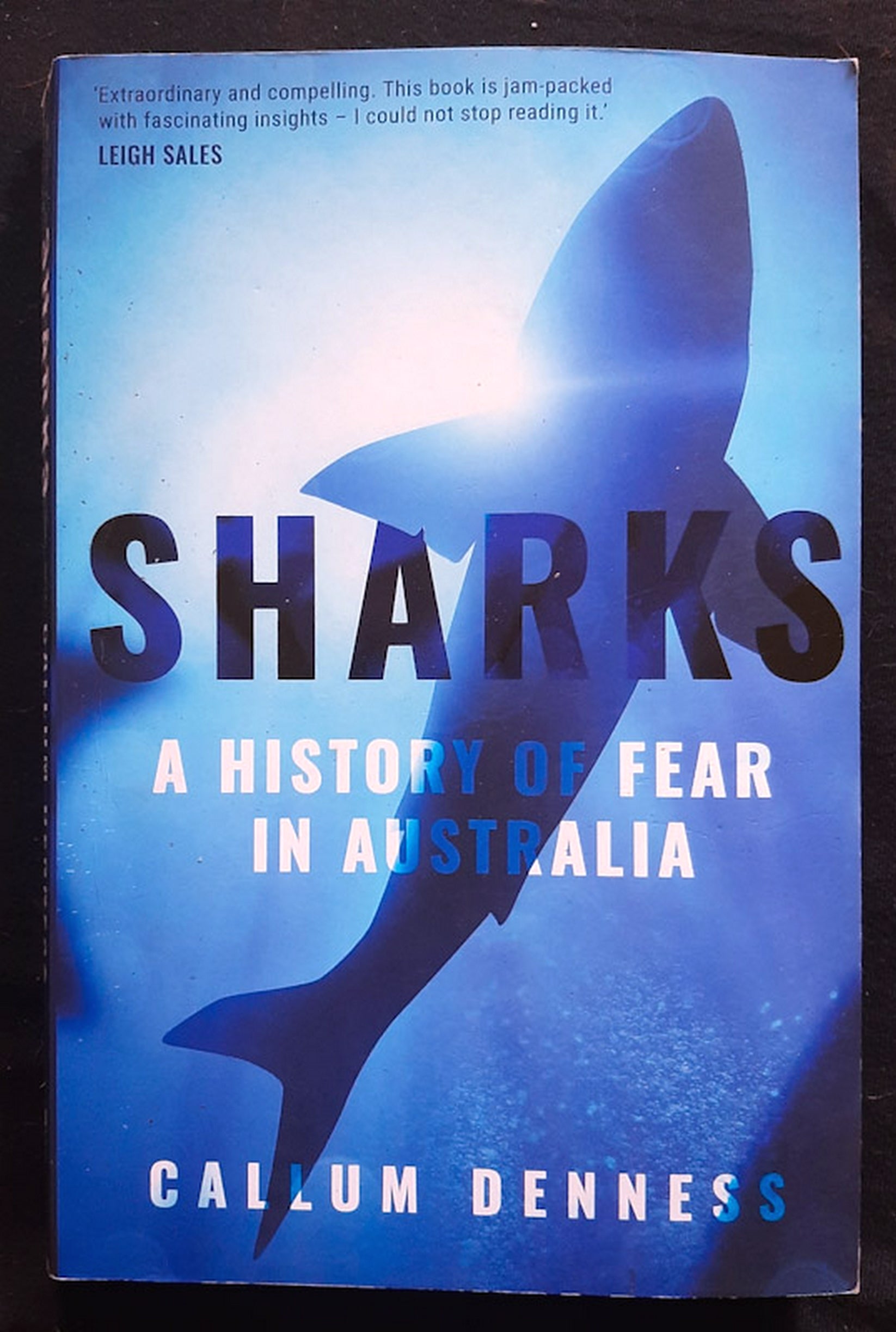 Front Cover Of Sharks: A History of Fear in Australia (Callum Denness)