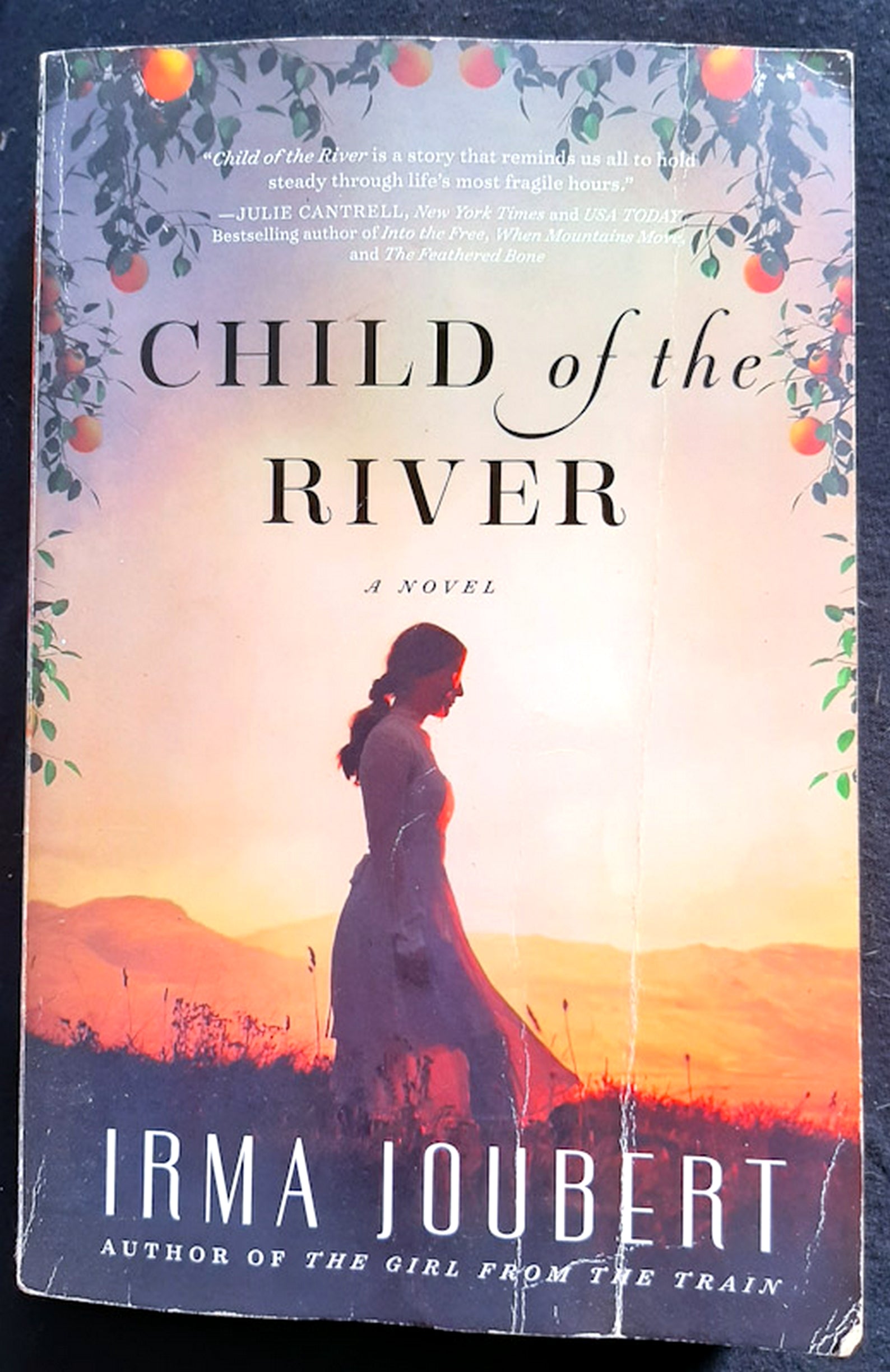 Front Cover Of Child of the River (Irma Joubert)