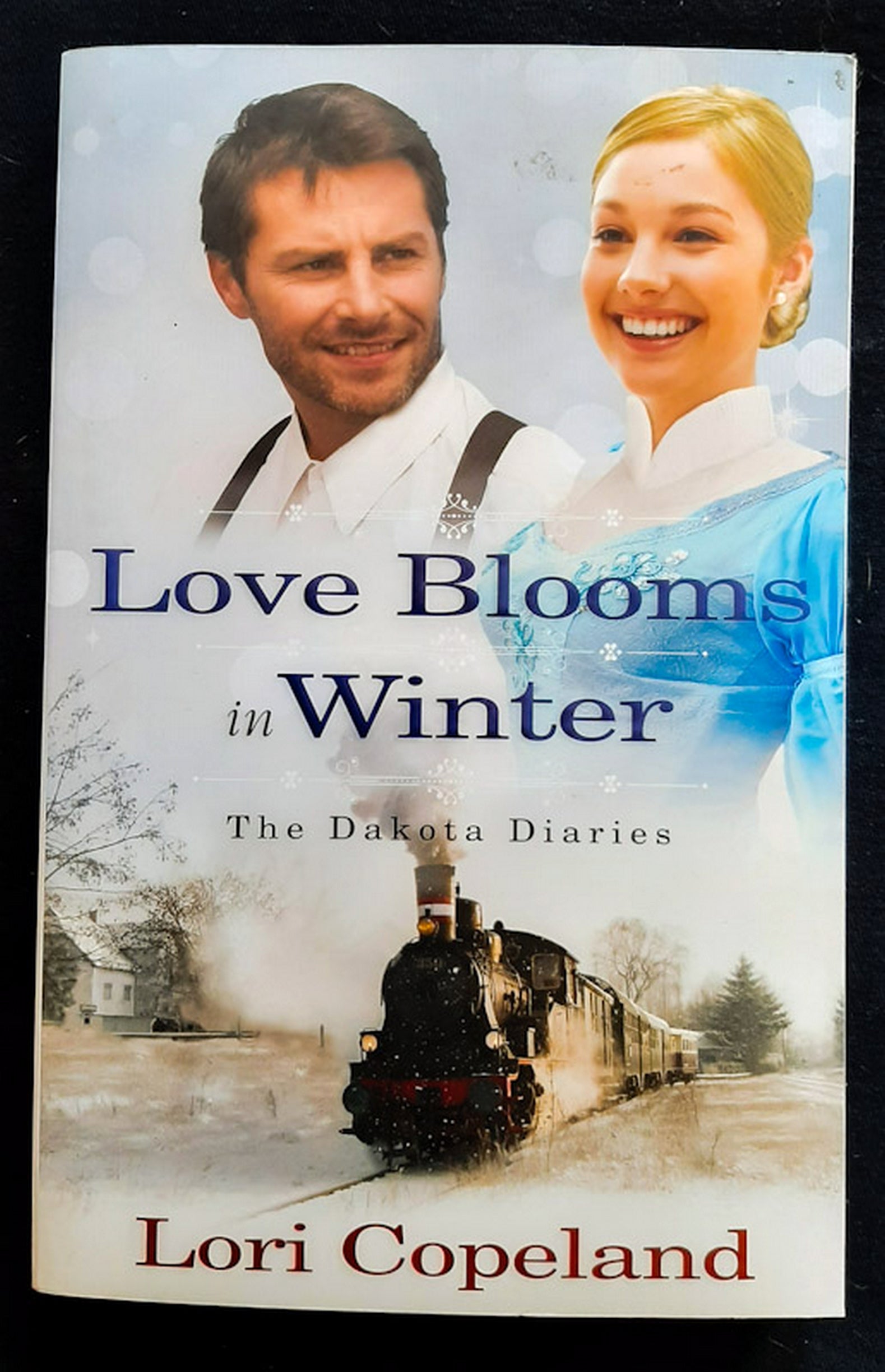 Front Cover Of Love Blooms in Winter (The Dakota Diaries #1) (Lori Copeland)