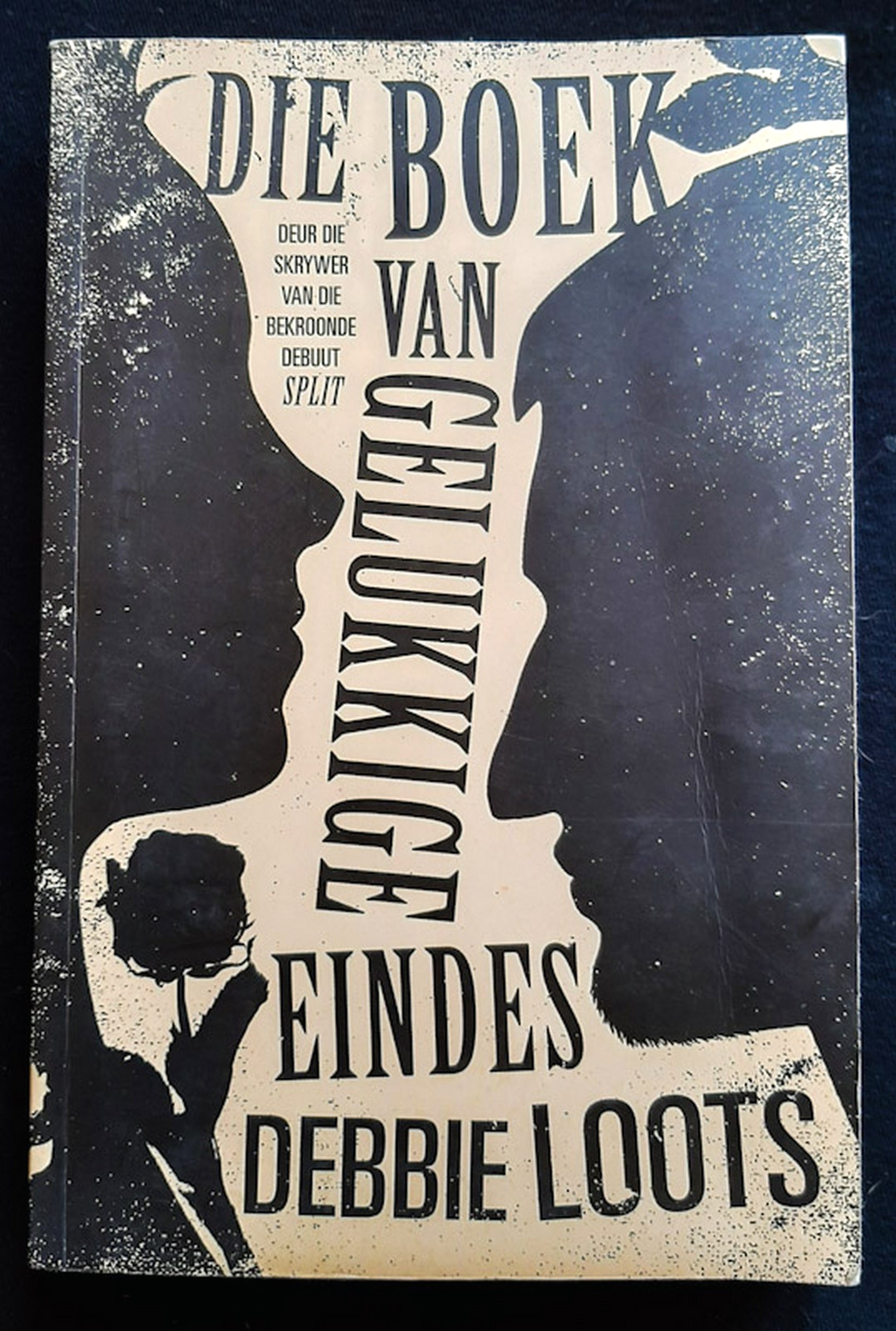 Front Cover Of Die boek van gelukkige eindes (Debbie Loots)