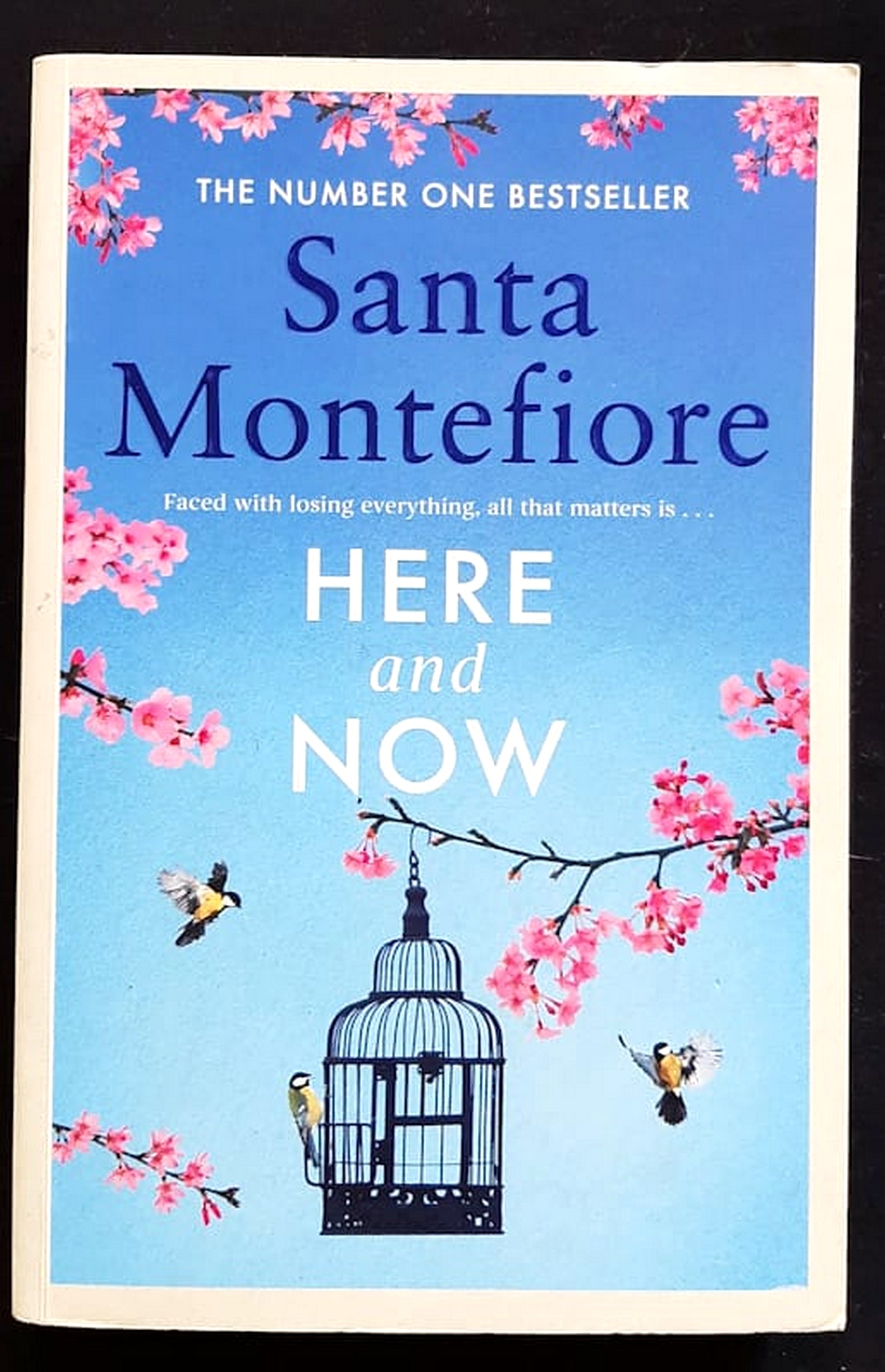 Front Cover Of Here and Now (Santa Montefiore)