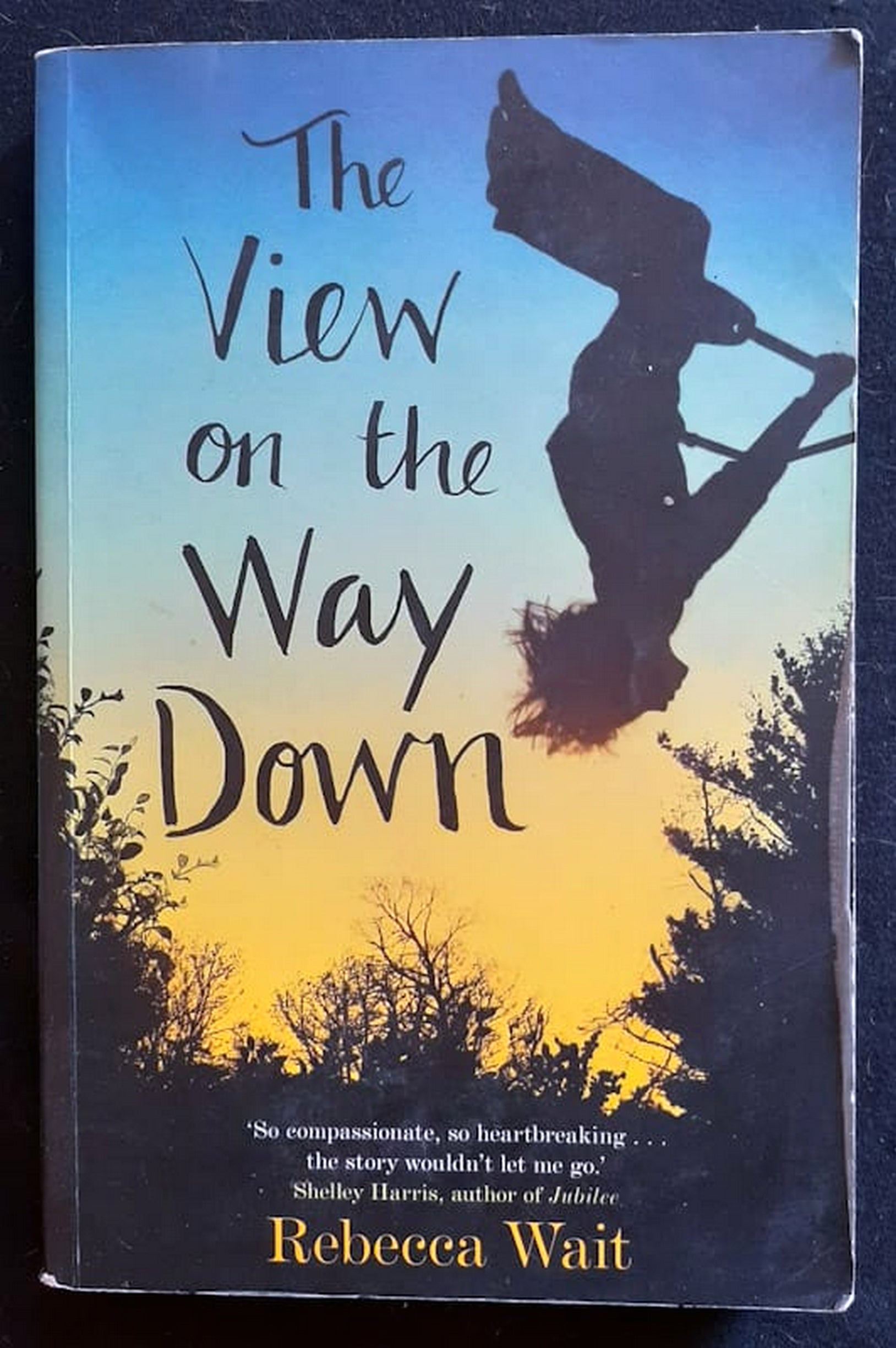 Front Cover Of The View on the Way Down (Rebecca Wait)