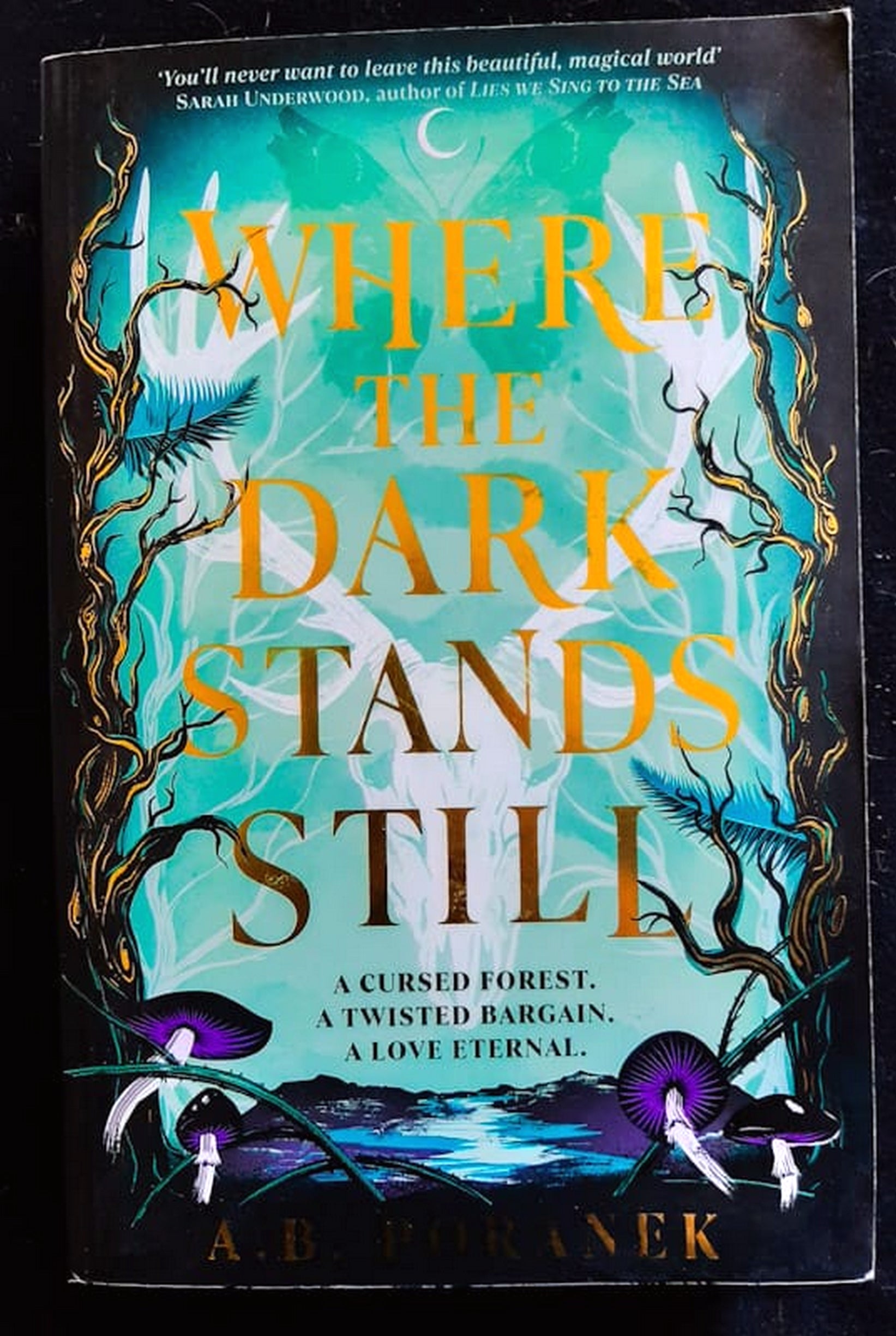 Front Cover Of Where the Dark Stands Still (A.B. Poranek)