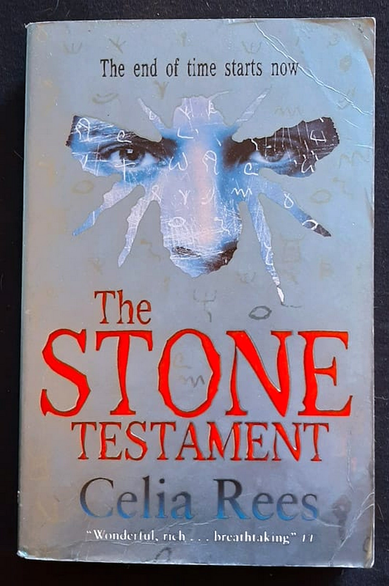 Front Cover Of The Stone Testament (Celia Rees)
