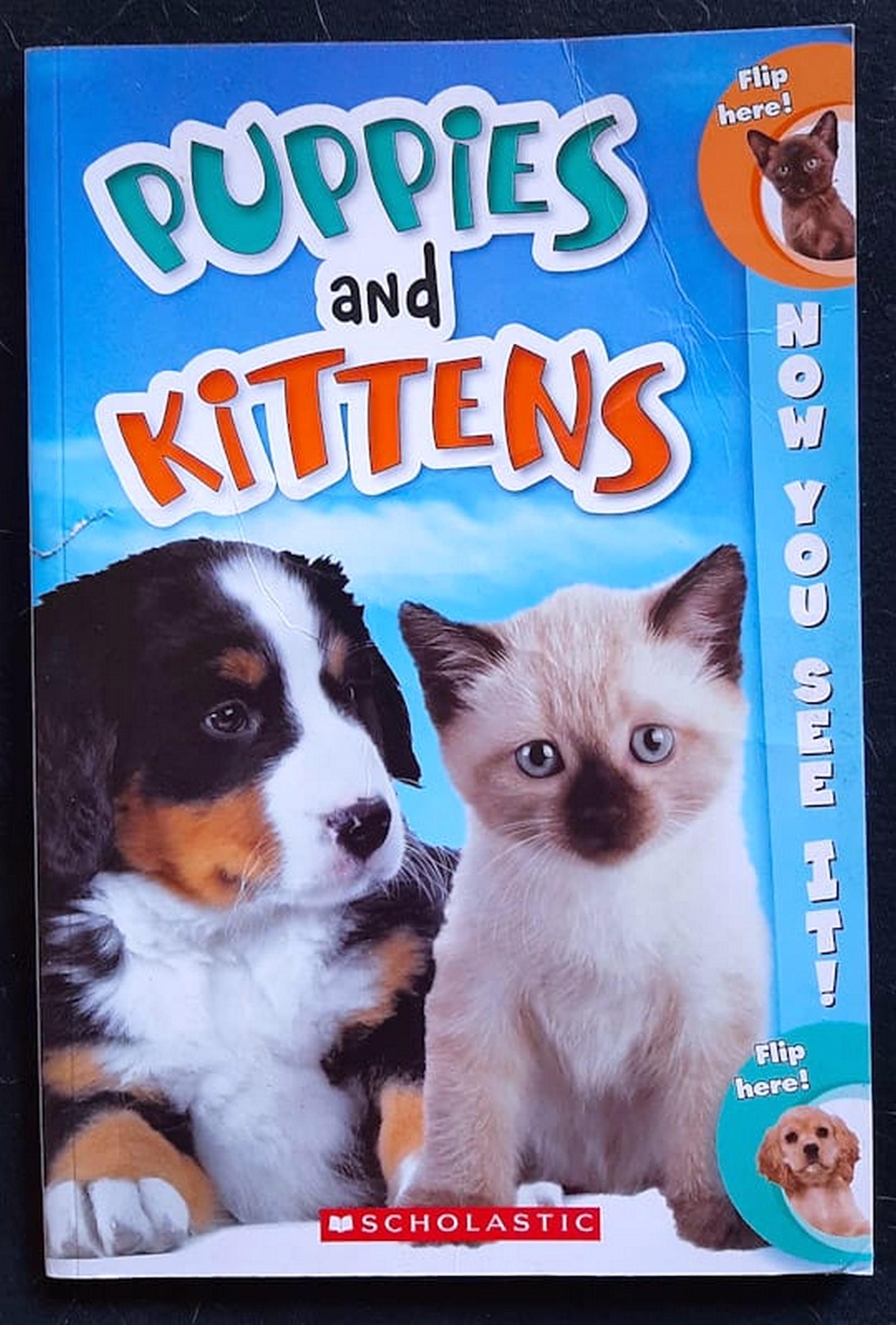 Front Cover Of Now You See It! Puppies And Kittens (Nicole Corse)