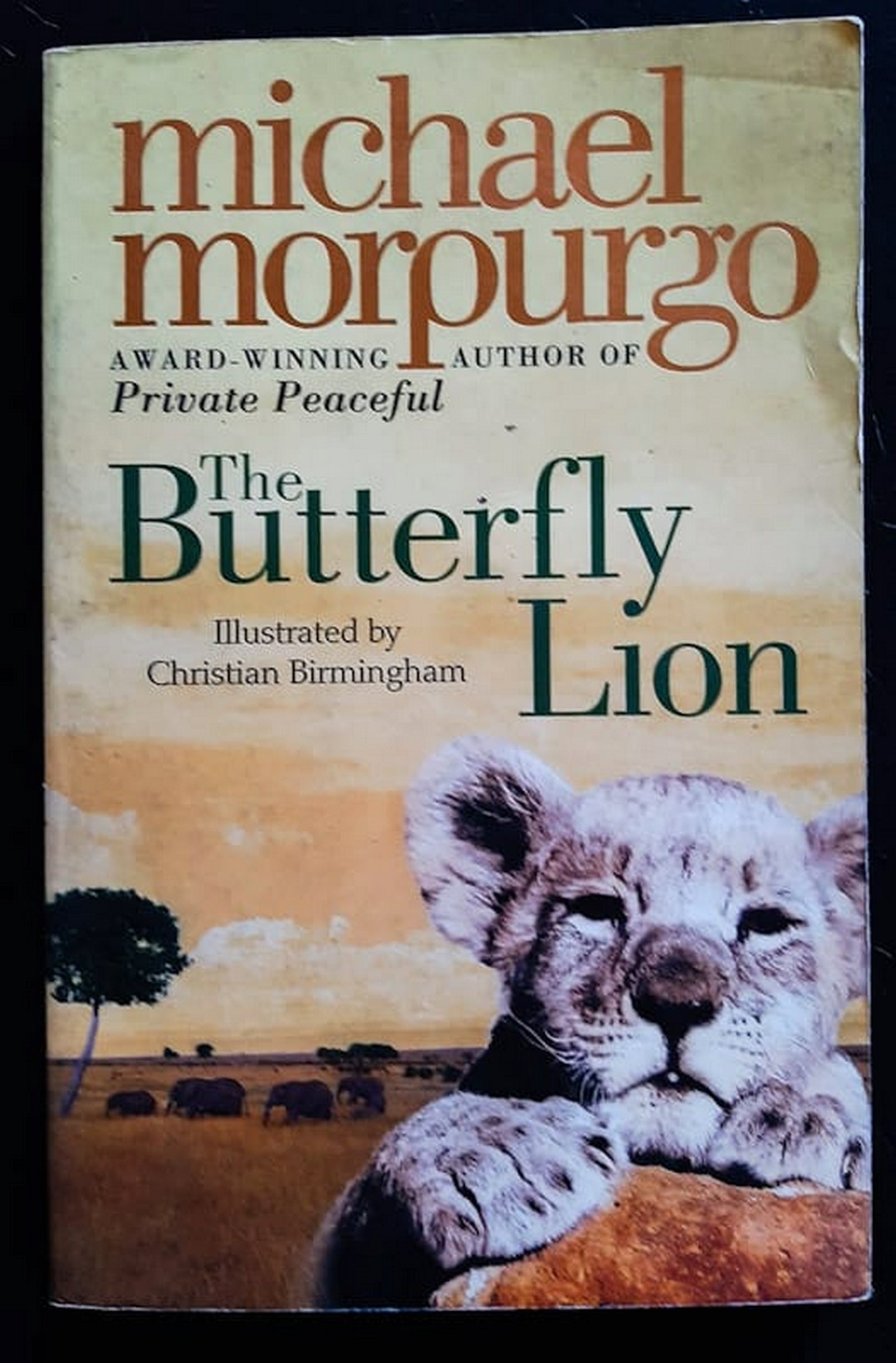 Front Cover Of The Butterfly Lion (Michael Morpurgo)