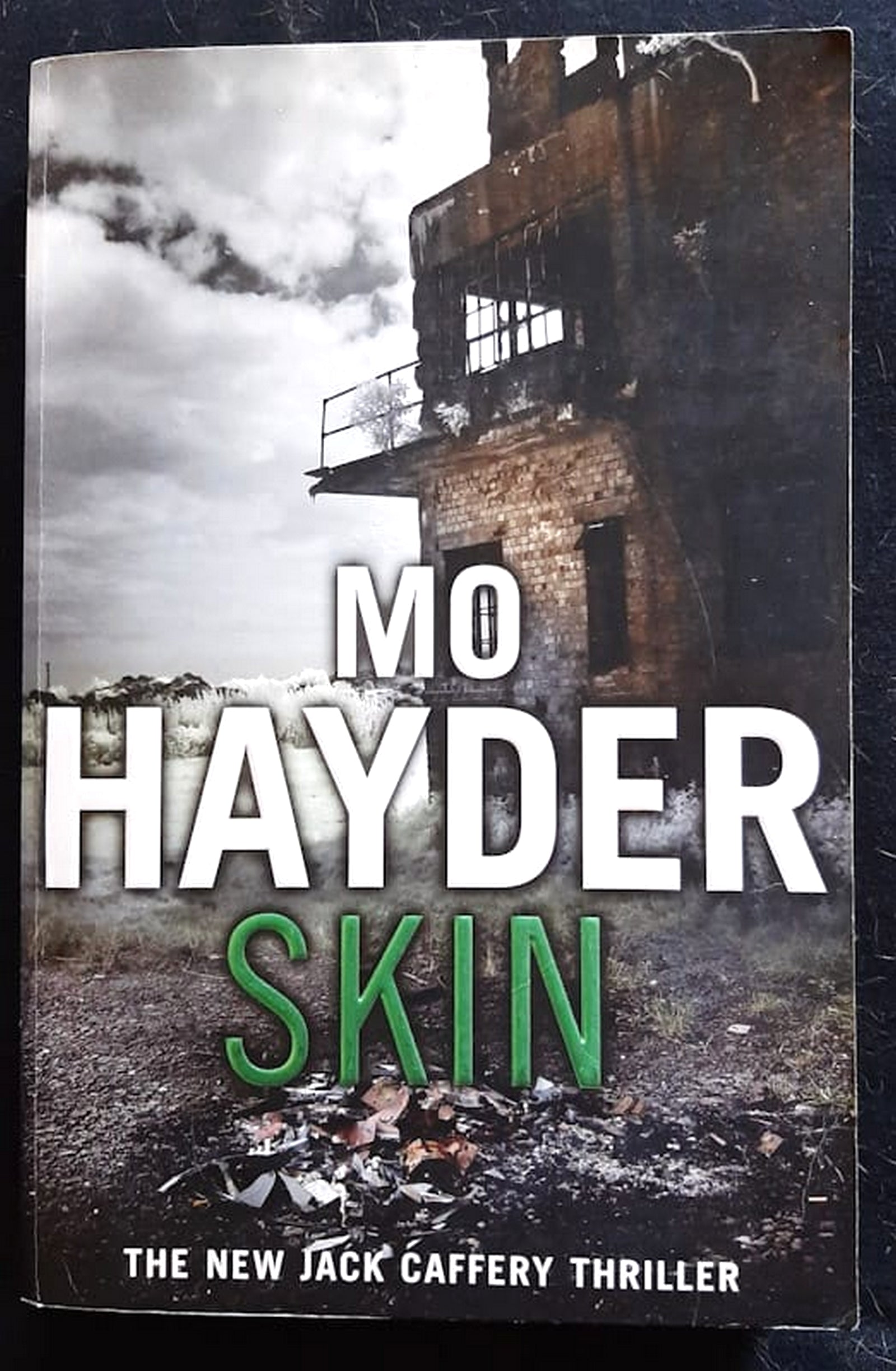 Front Cover Of Skin (Jack Caffery #4) (Mo Hayder)