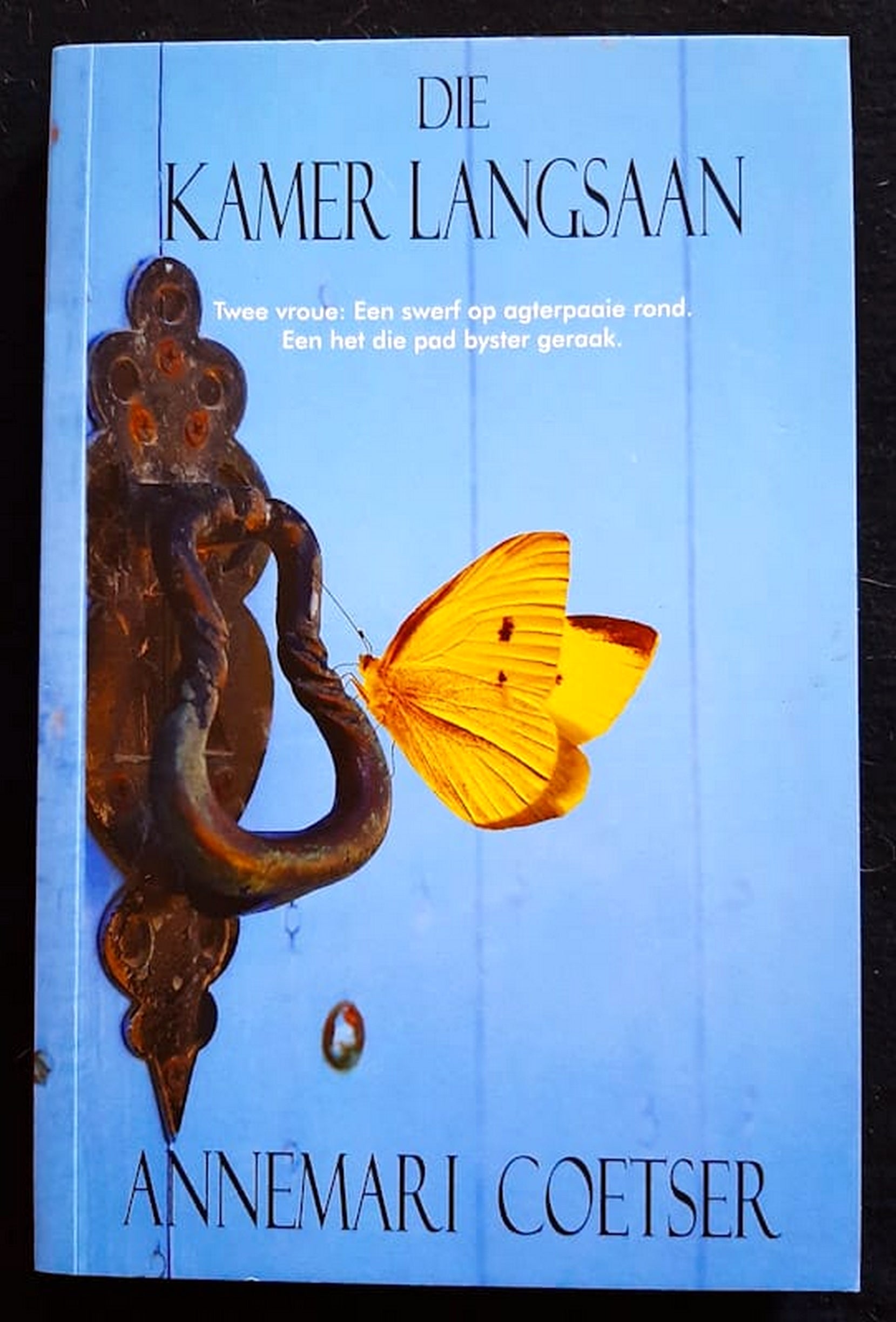 Front Cover Of Die Kamer Langsaan (Annemarie Coetser)