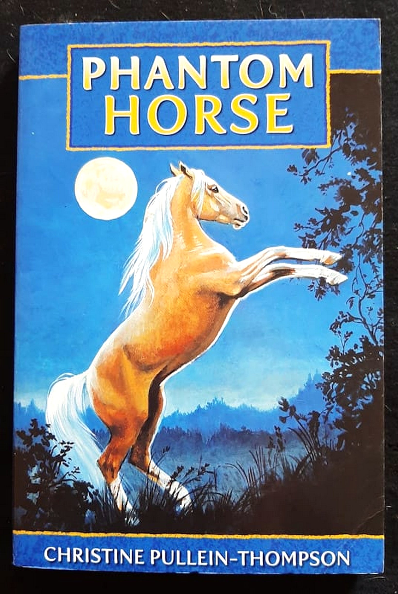 Front Cover Of Phantom Horse (Phantom Horse #1) (Christine Pullein-Thompson)