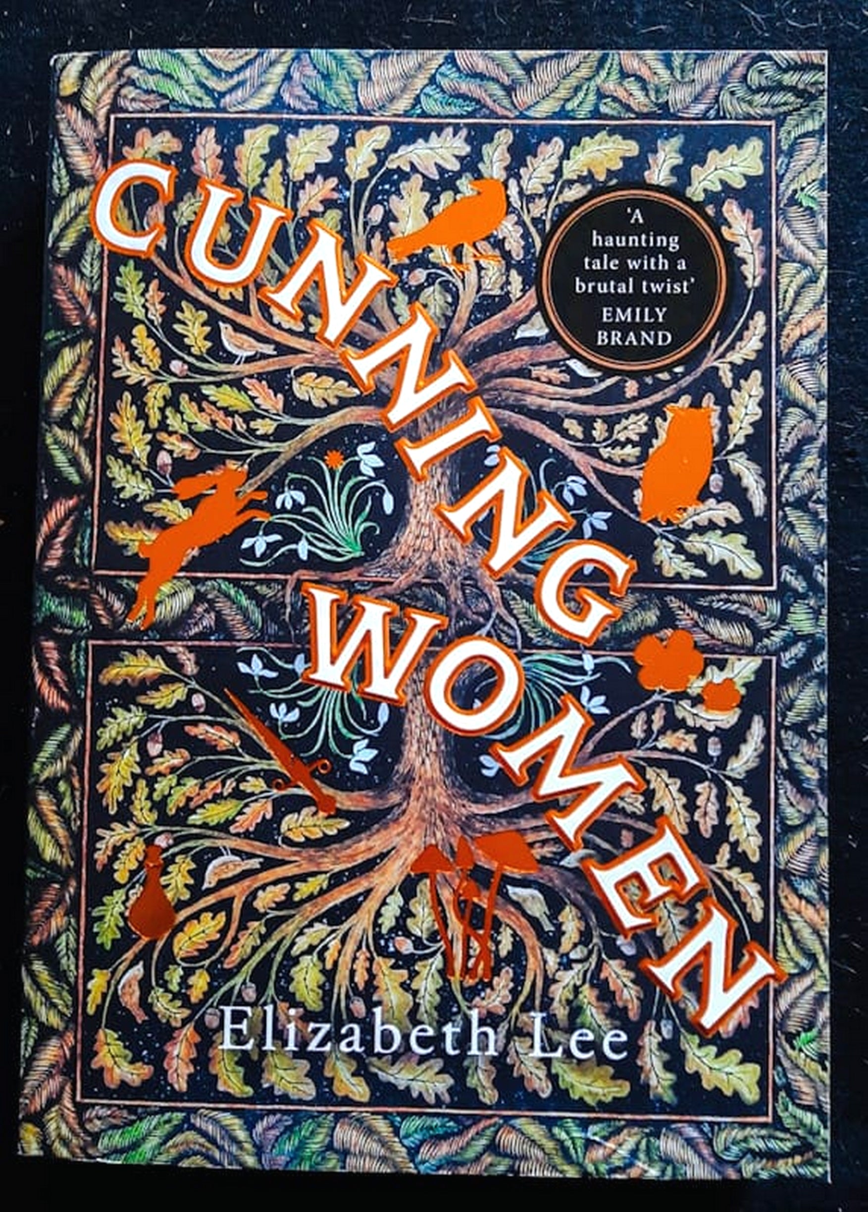 Front Cover Of Cunning Women : When Women are Cast Out, They Must Find Their Own Power (Elizabeth Lee)