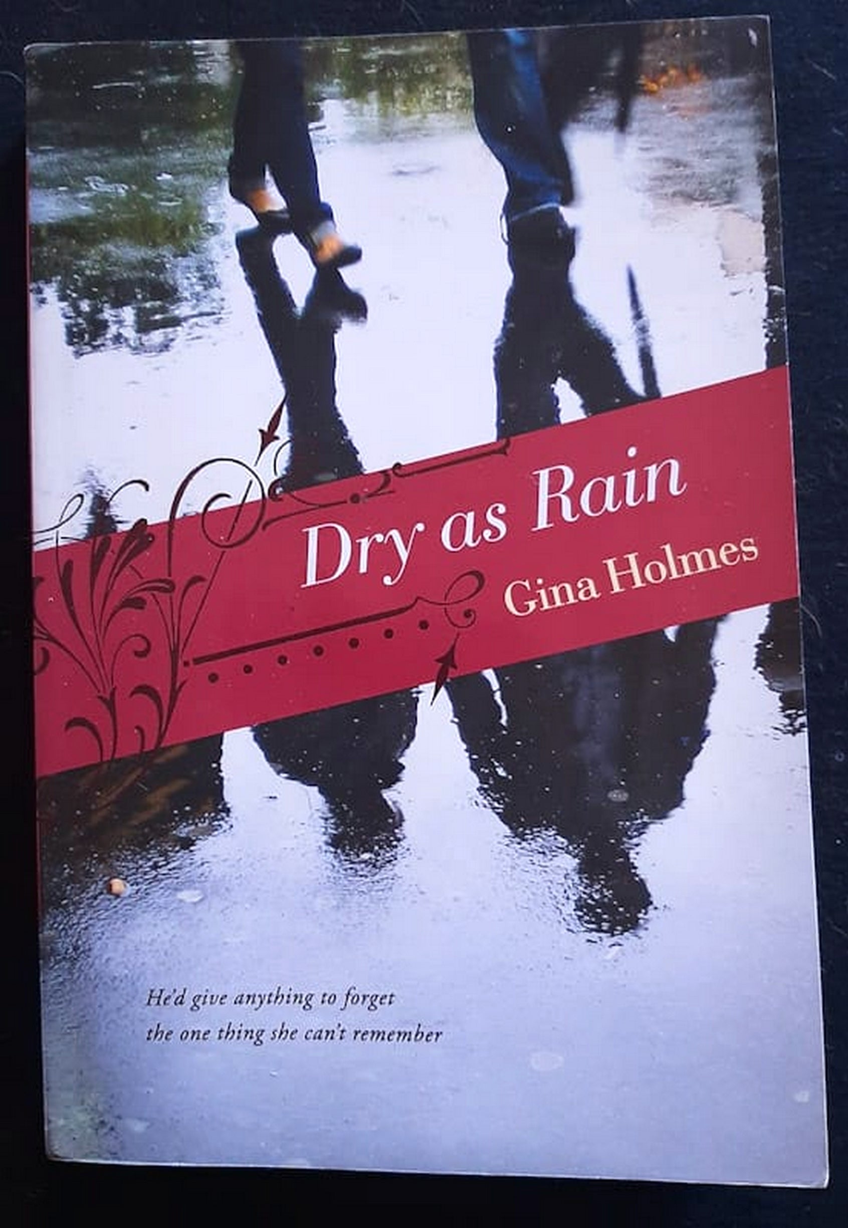 Front Cover Of Dry as Rain (Gina Holmes)