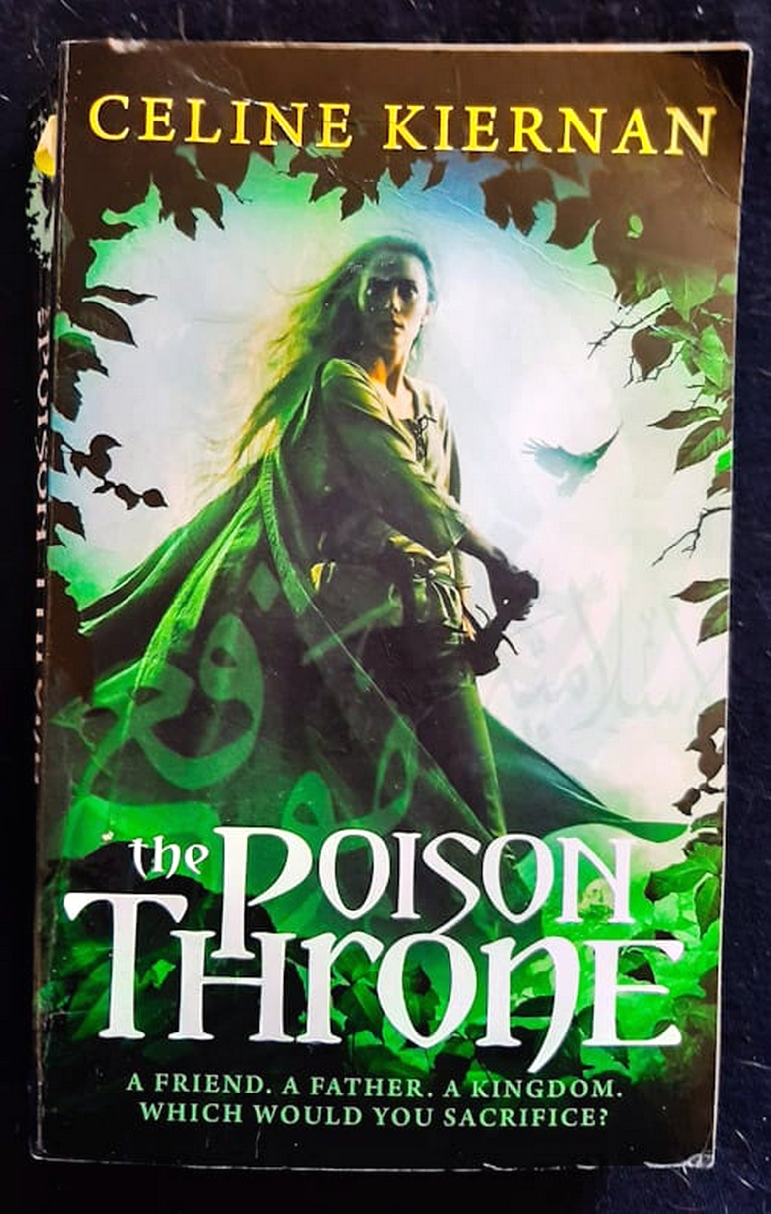 Front Cover Of The Poison Throne (Moorehawke Trilogy #1) (Celine Kiernan)