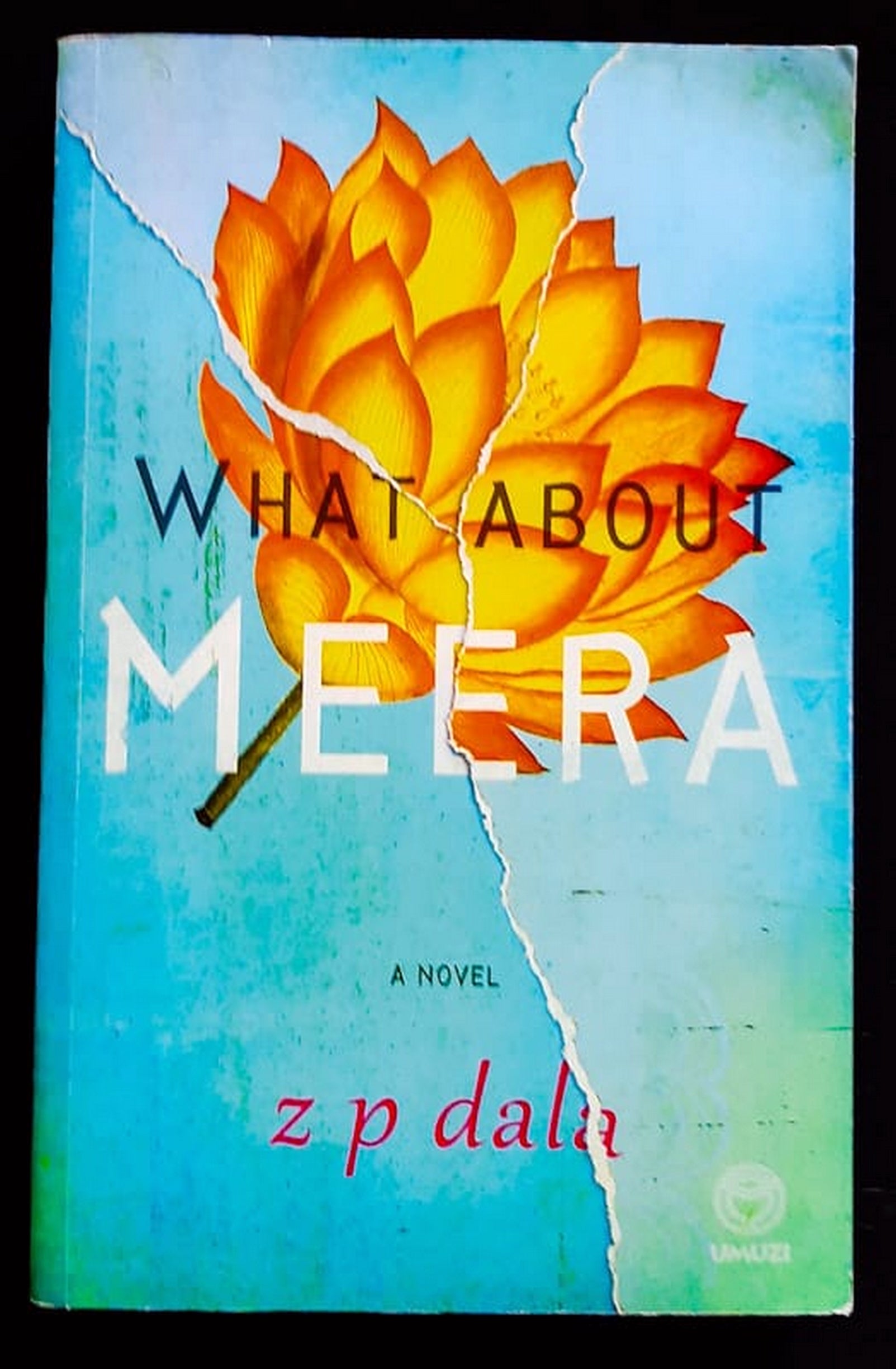 Front Cover Of What About Meera (Z.P. Dala)