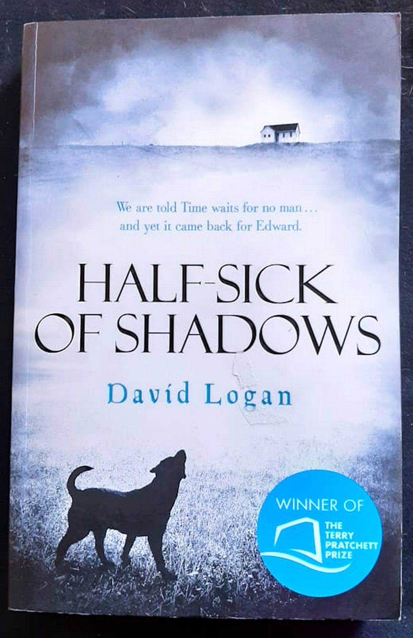 Front Cover Of Half-Sick of Shadows (David Logan)