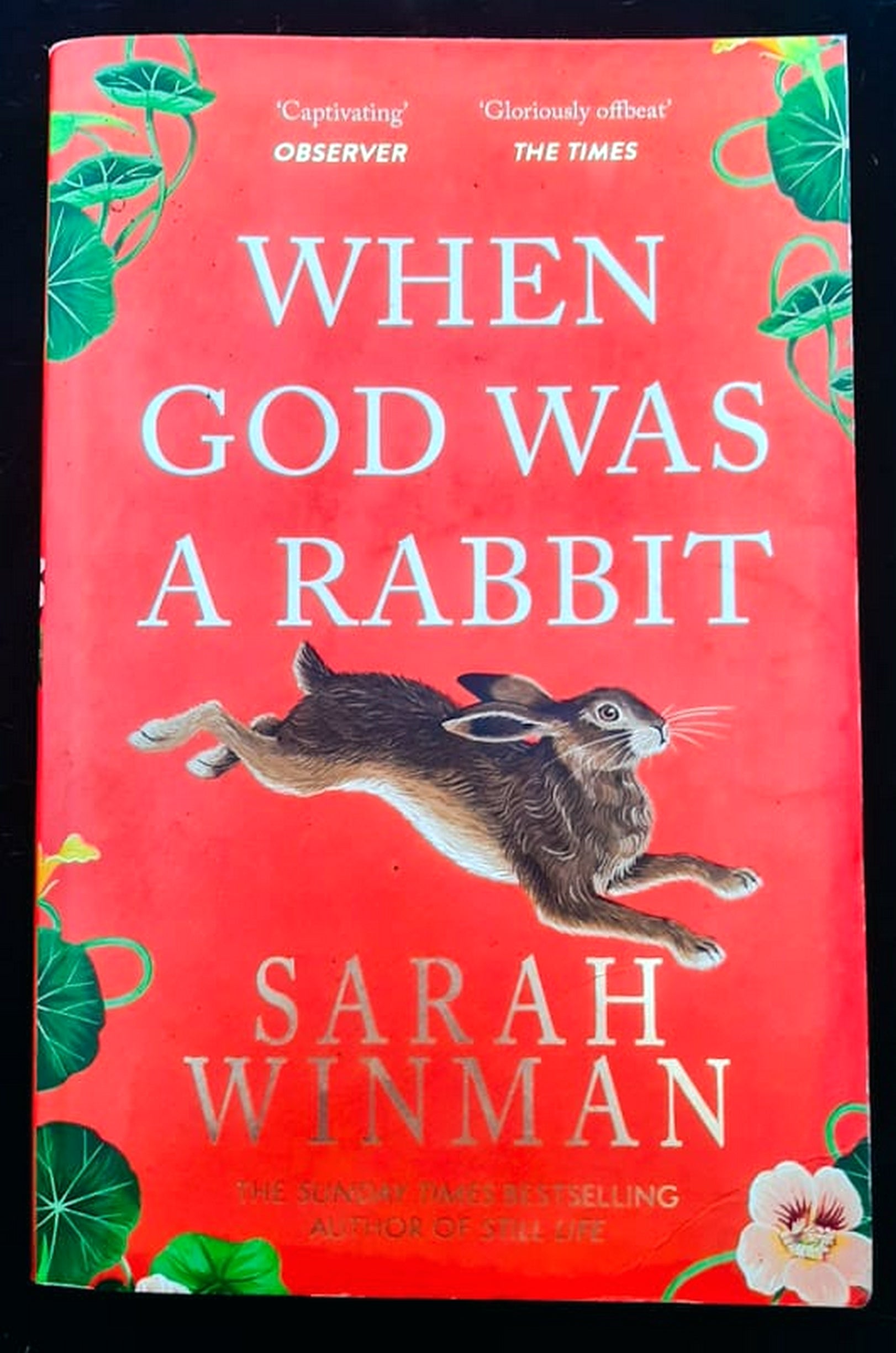 Front Cover Of When God Was a Rabbit (Sarah Winman)
