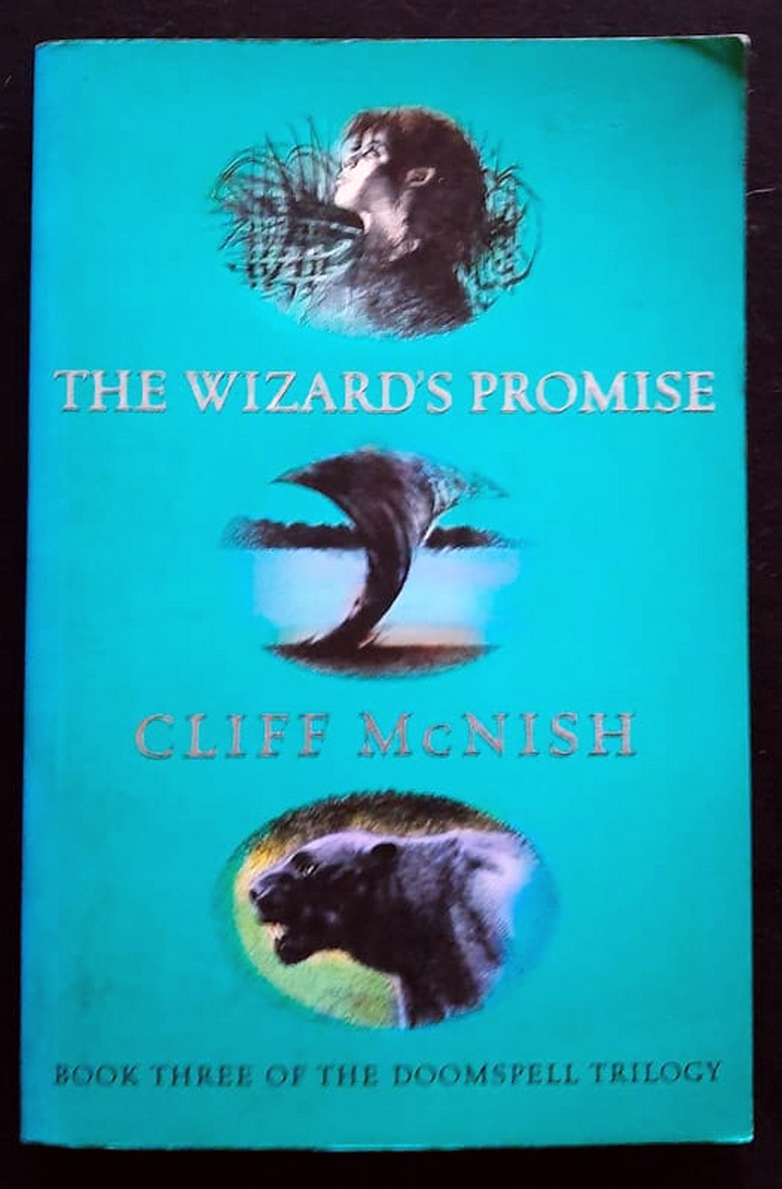 Front Cover Of The Wizard's Promise (Doomspell #3) (Cliff McNish)