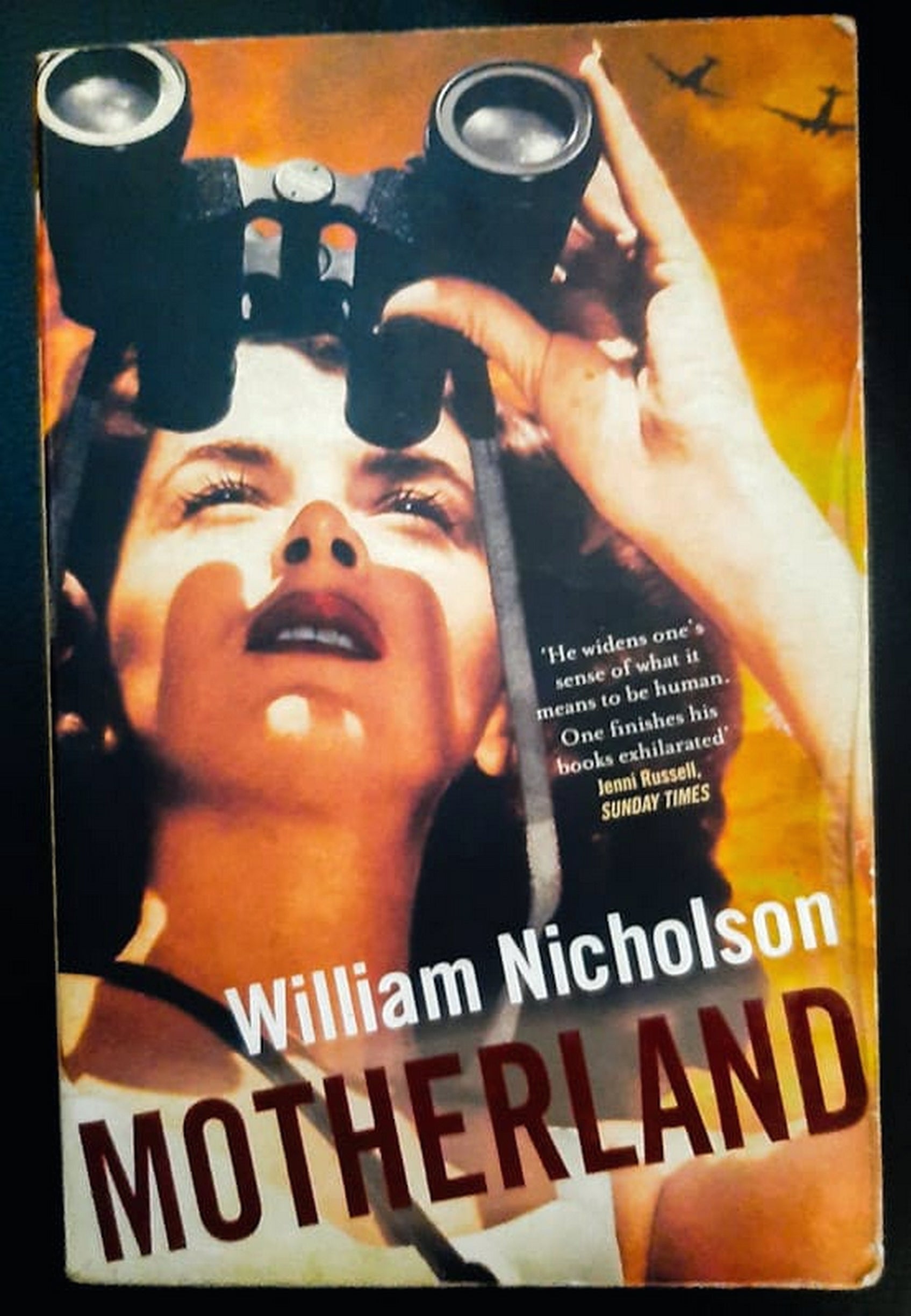 Front Cover Of Motherland (William Nicholson)