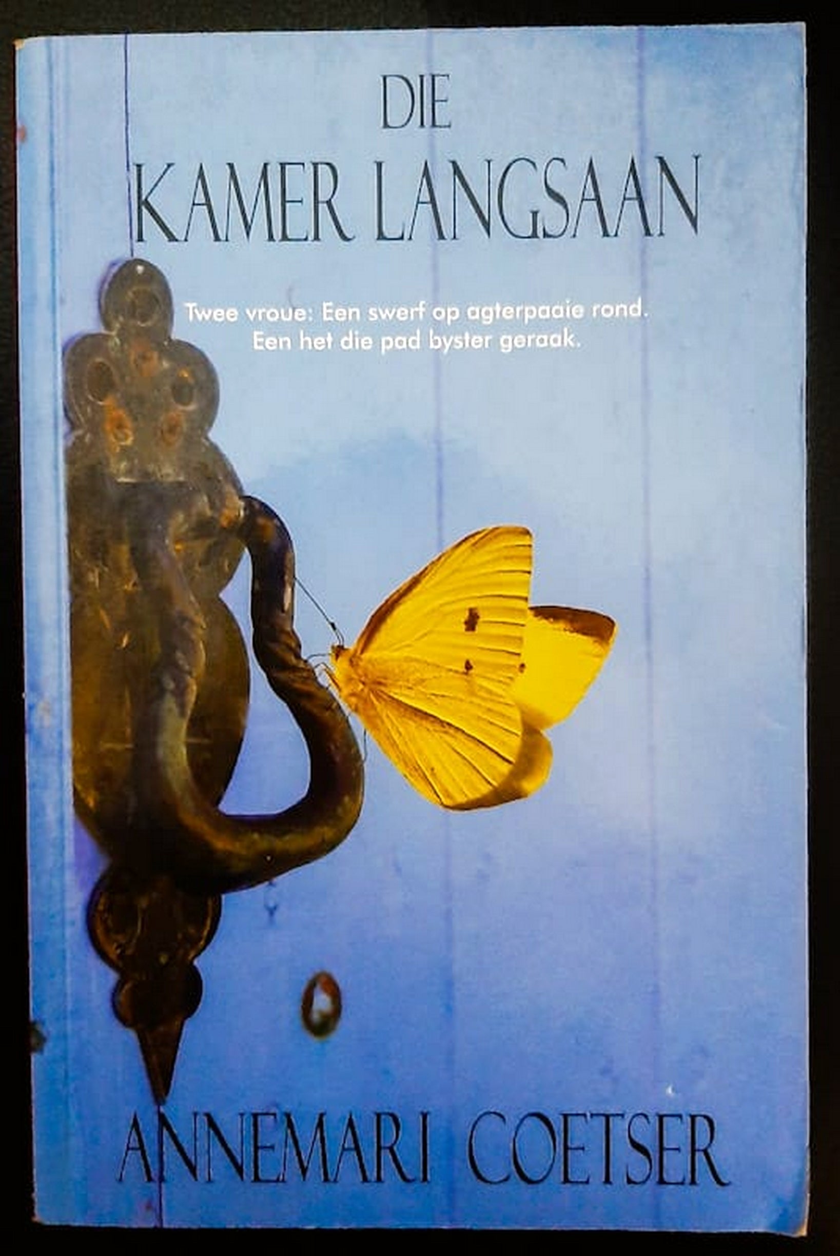 Front Cover Of Die kamer langsaan (Annemari Coetser)