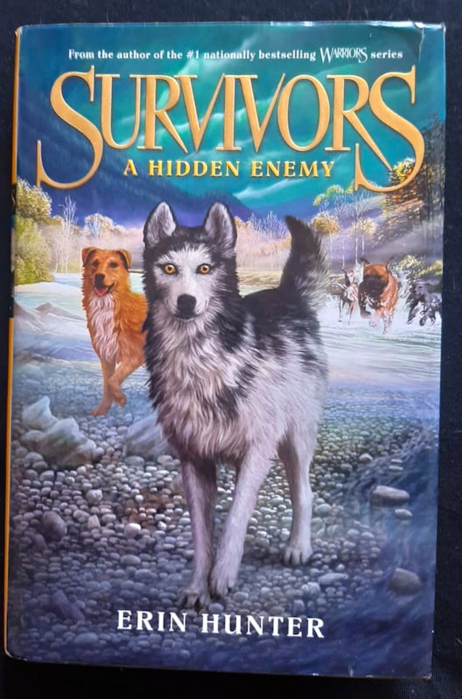 Front Cover Of A Hidden Enemy (Survivors #2) (Erin Hunter)