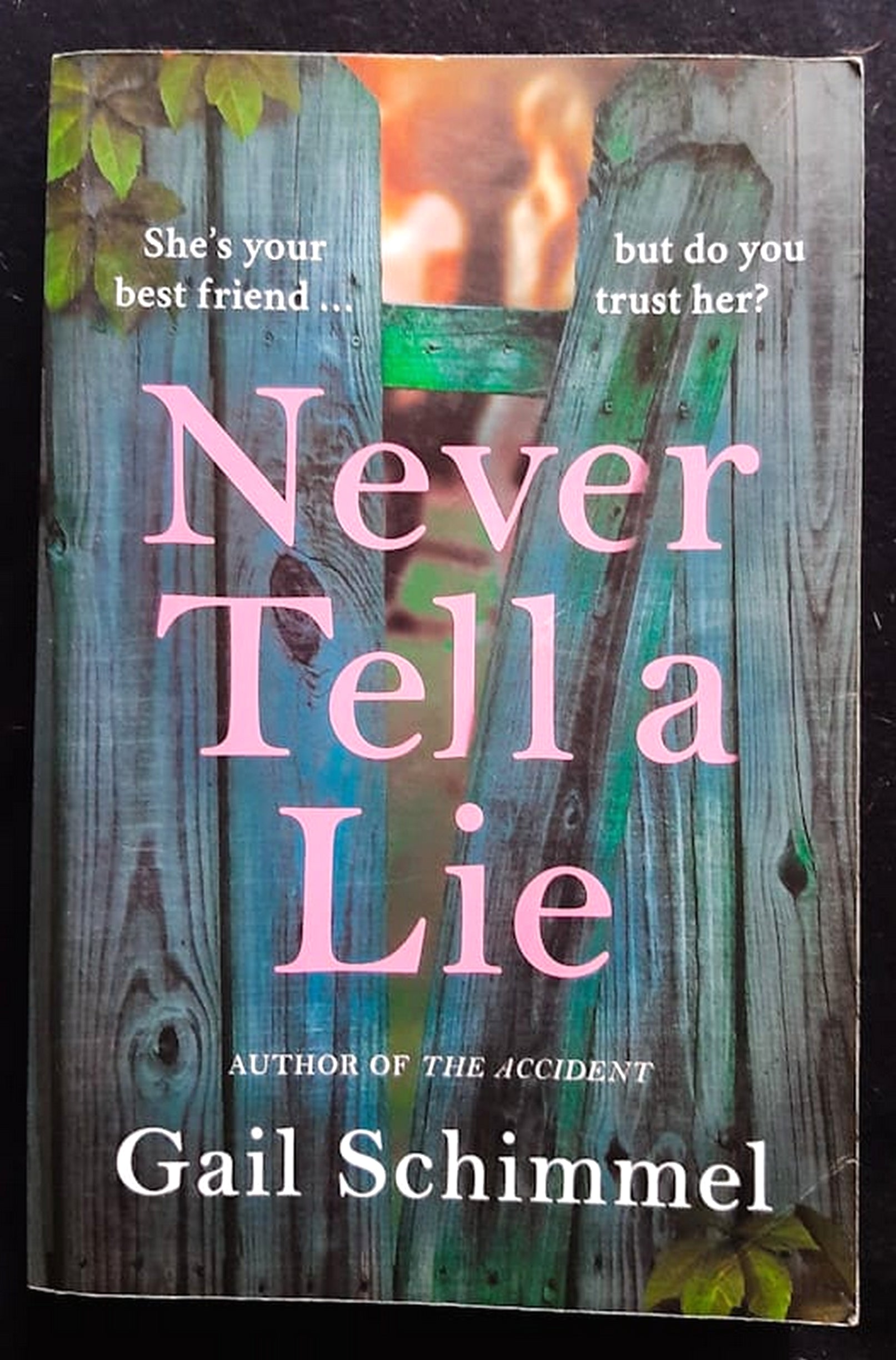 Front Cover Of Never Tell a Lie (GAIL SCHIMMEL)